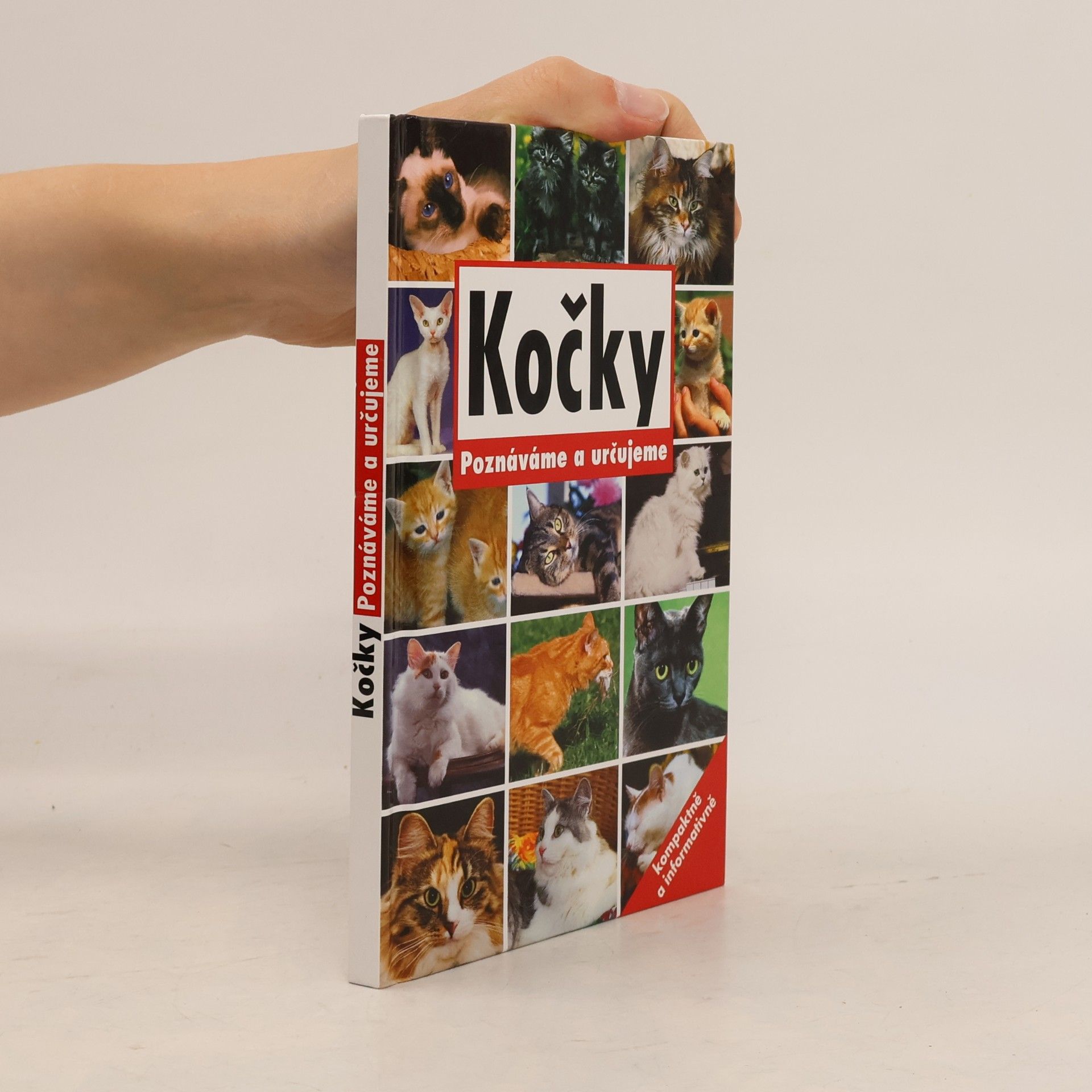 nezn. Kočky: Poznáváme a určujeme