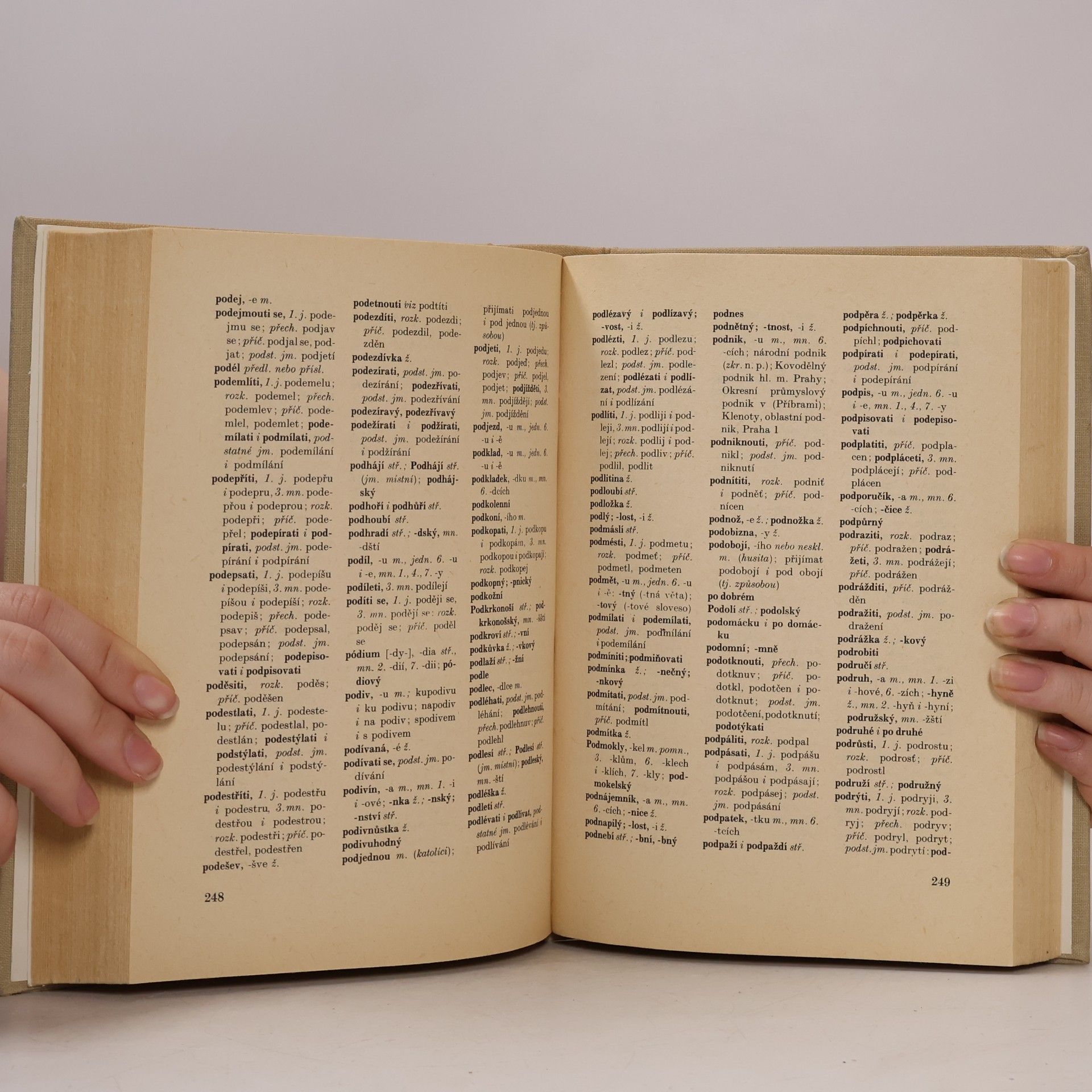 Collectif d'auteurs Pravidla českého pravopisu. Školní vydání