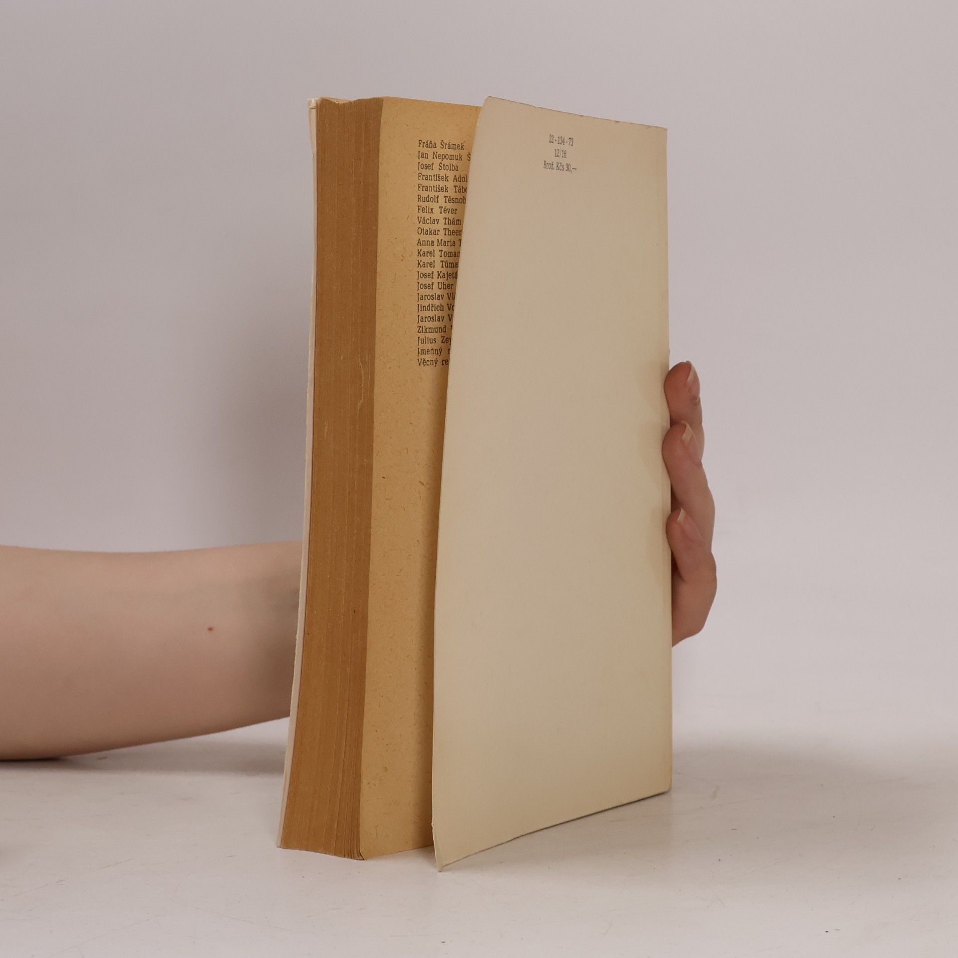 Kolektiv autorů Čeští spisovatelé 19. a počátku 20. století