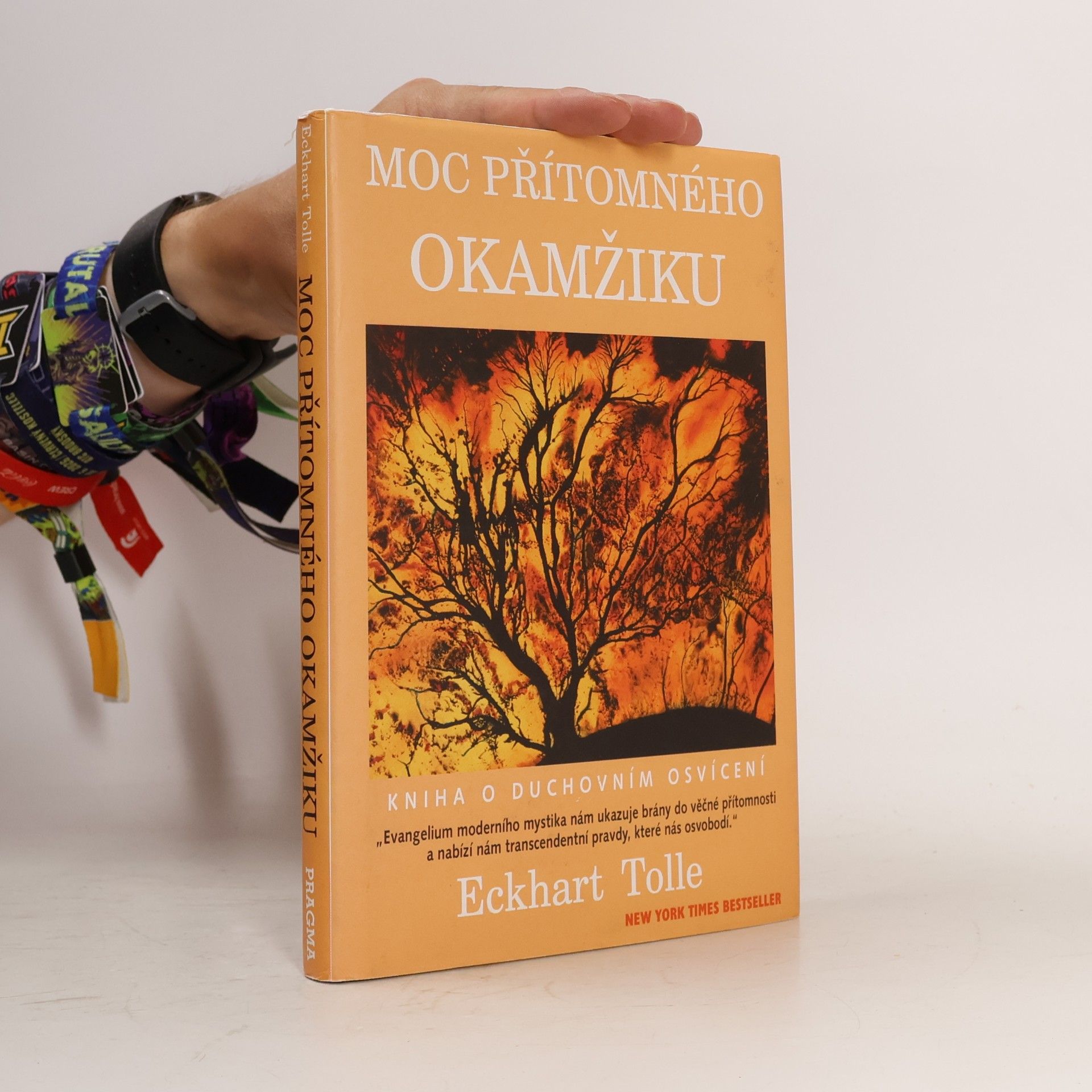 Eckhart Tolle Moc přítomného okamžiku