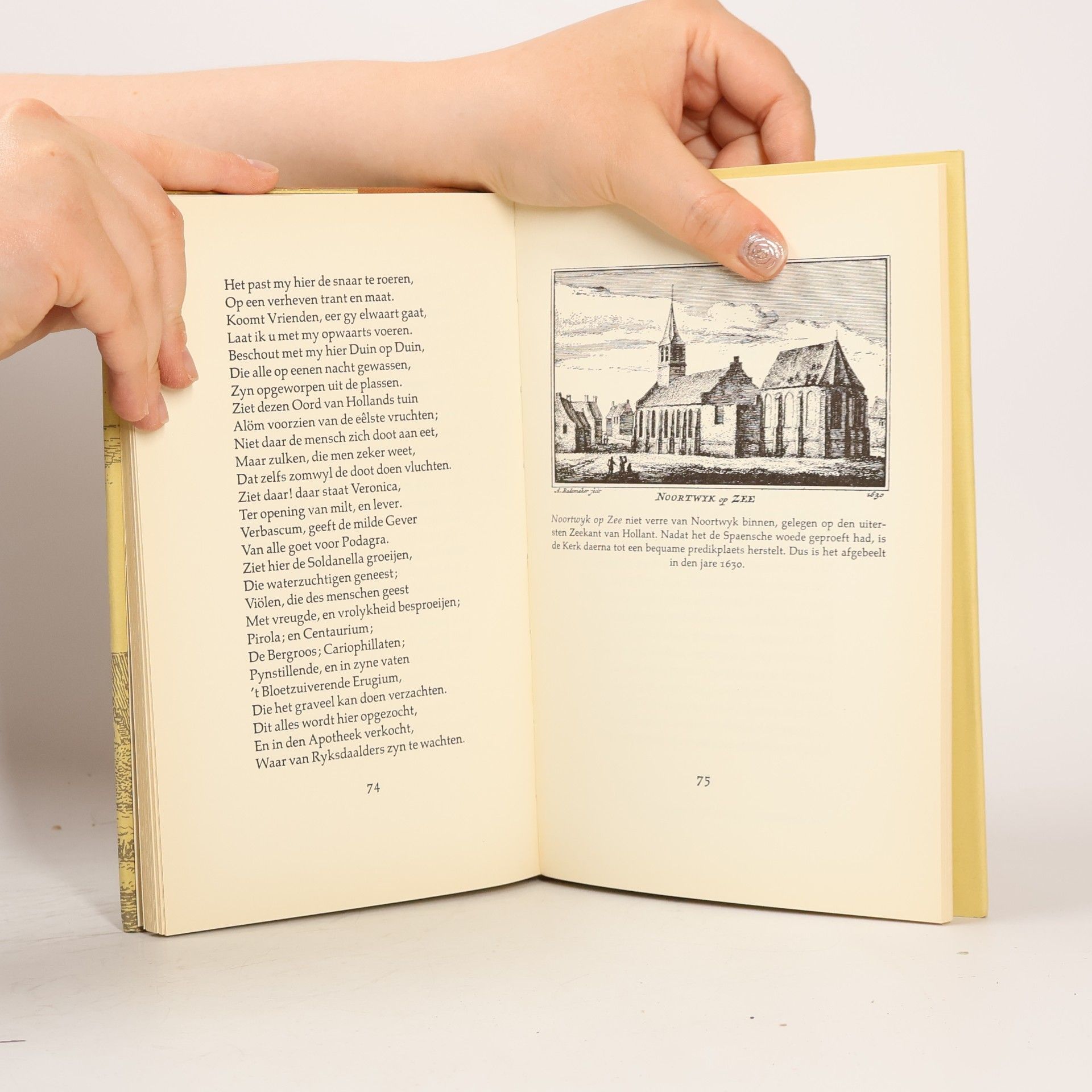 Autores varios Noordwyksche Arkadia