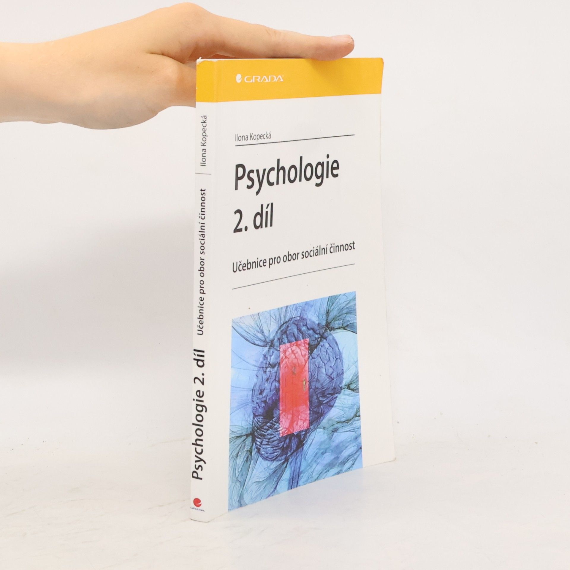 Ilona Kopecká Psychologie : učebnice pro obor sociální činnost. 2. díl