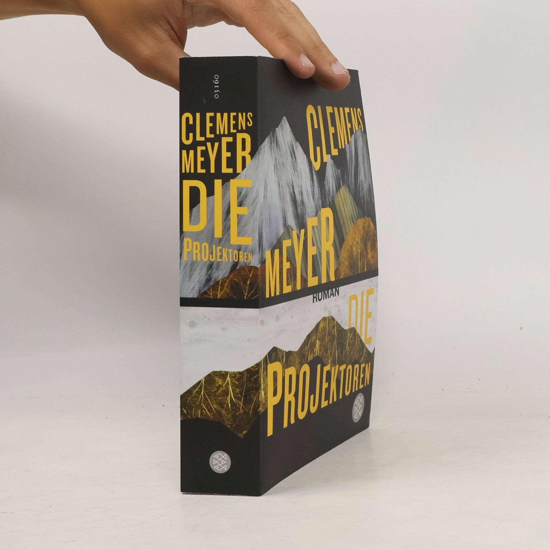 Clemens Meyer Die Projektoren: Roman