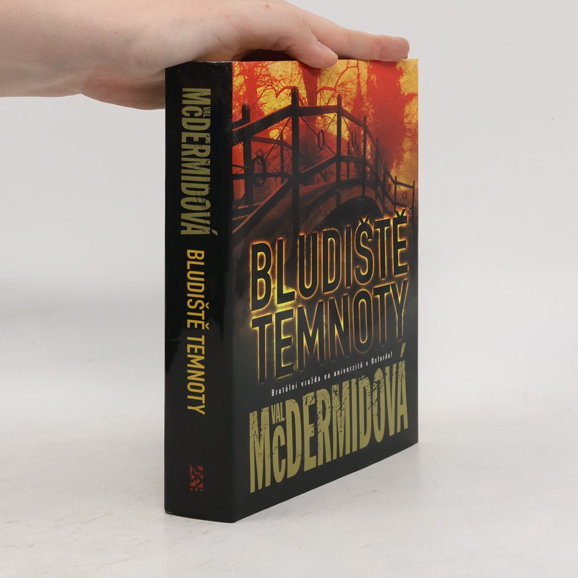 Val McDermid Bludiště temnoty