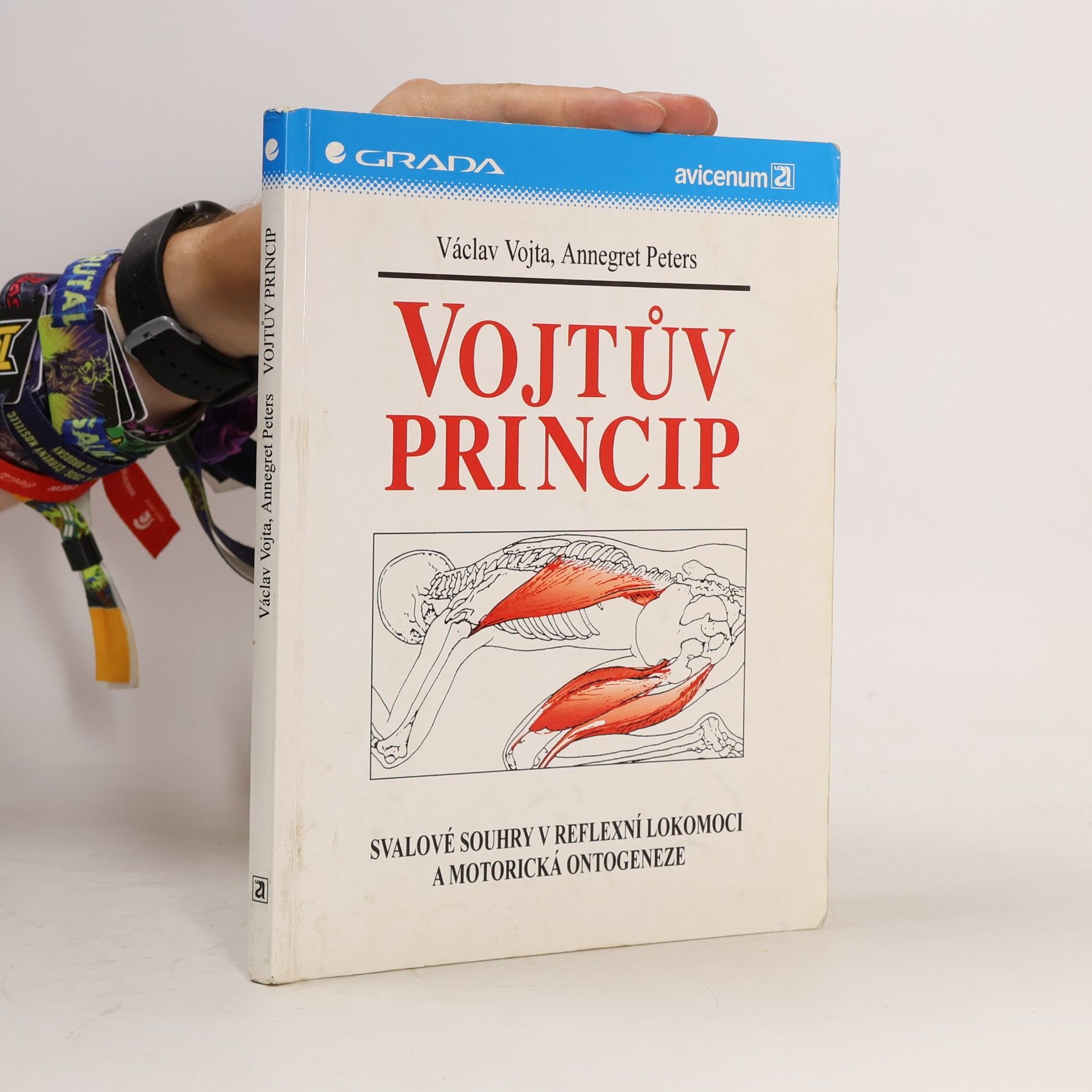 Václav Vojta Vojtův princip