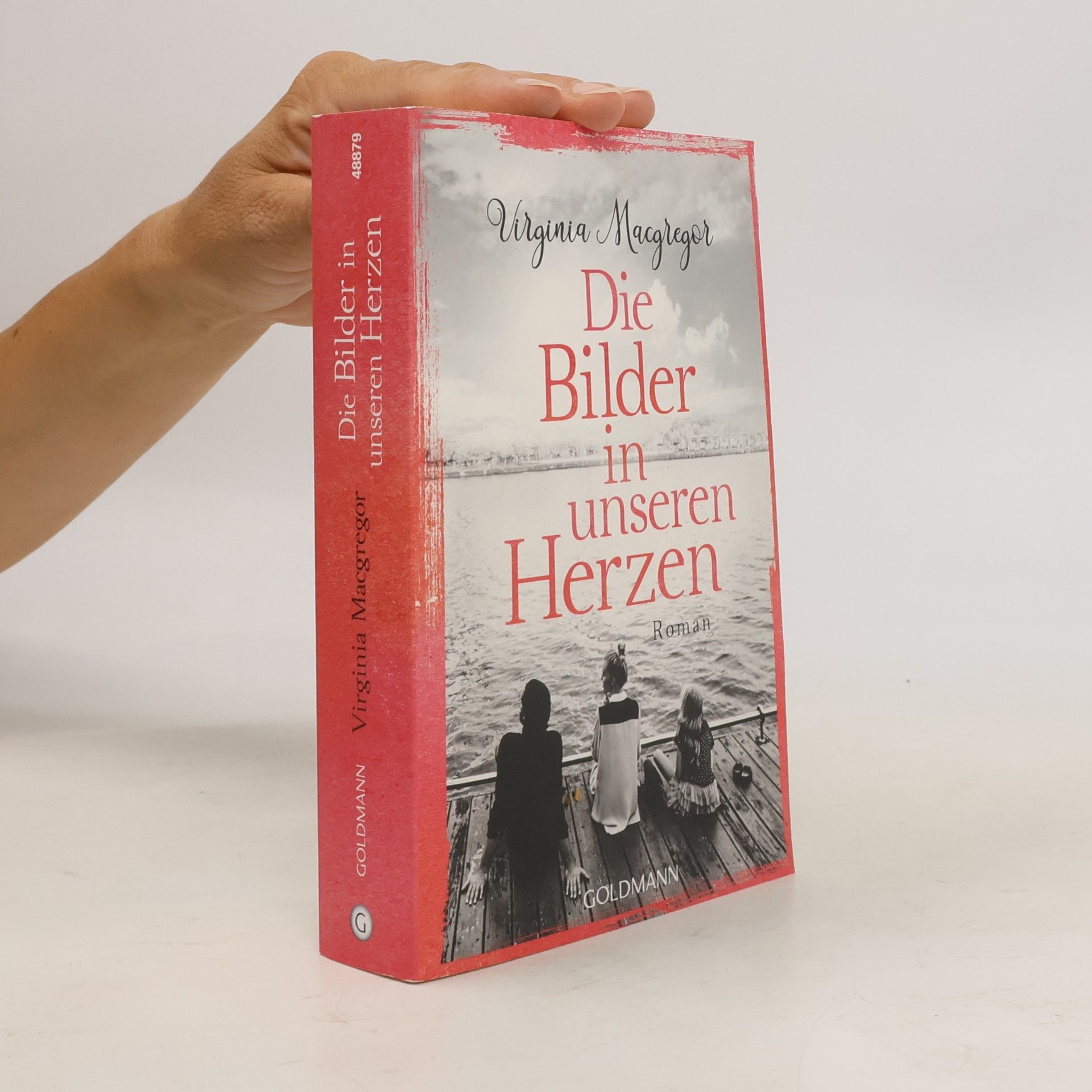 Virginia Macgregor Die Bilder in unseren Herzen