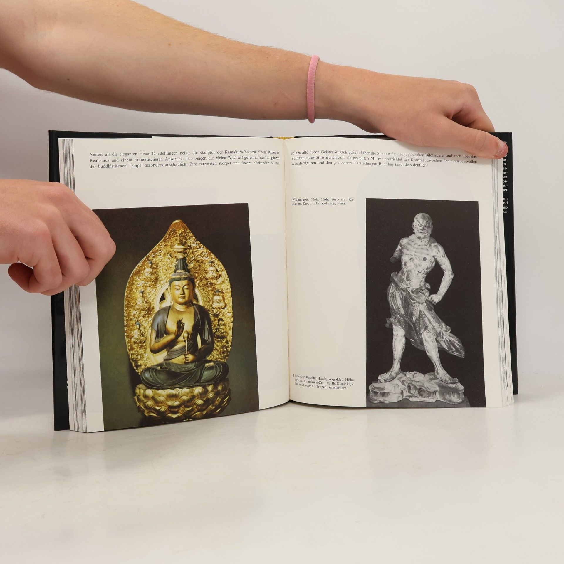 Hugo Münsterberg Kunst im Bild. Der Ferne Osten