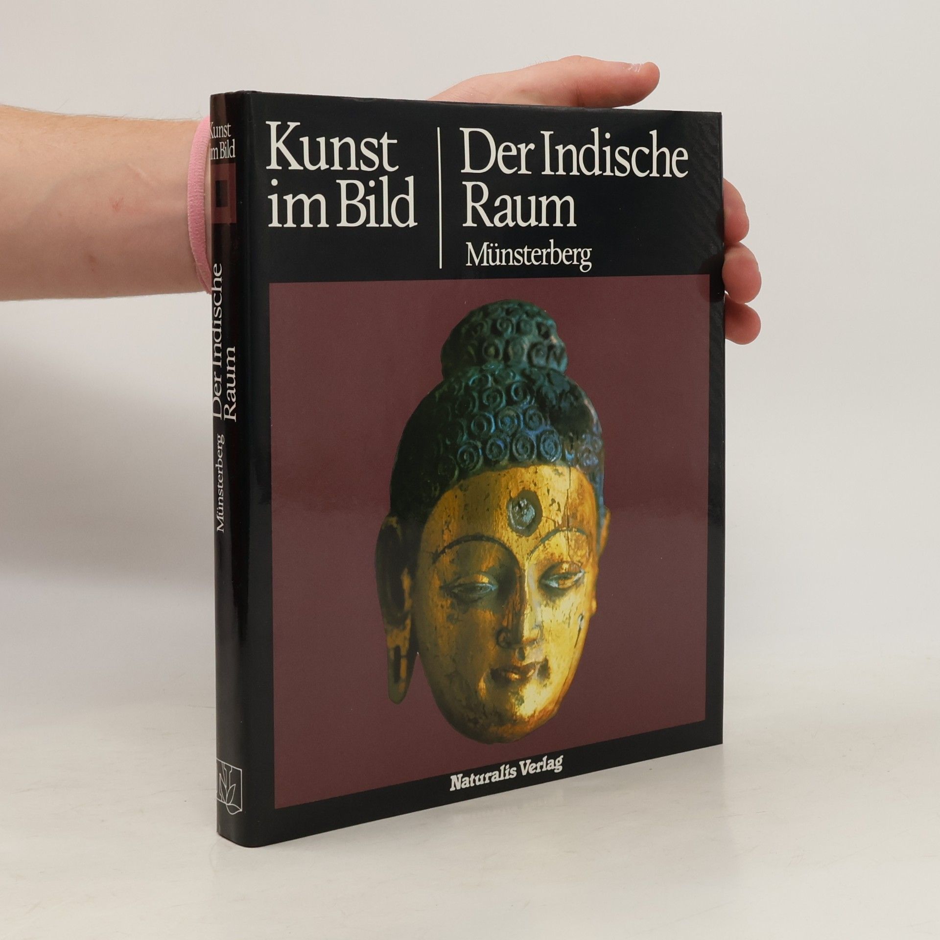 Autores varios Der indische Raum