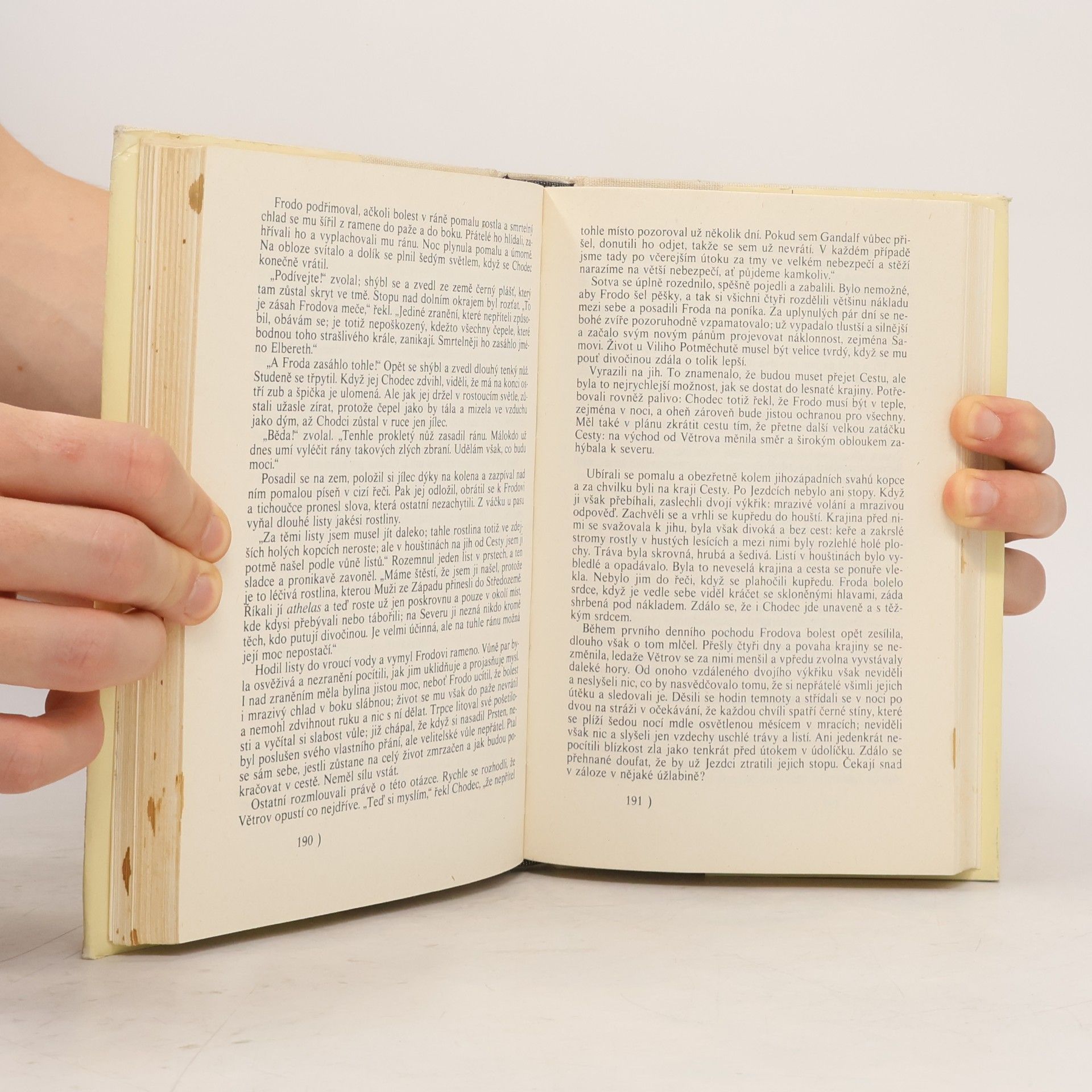 J. R. R. Tolkien Pán prstenů. Společenstvo Prstenu