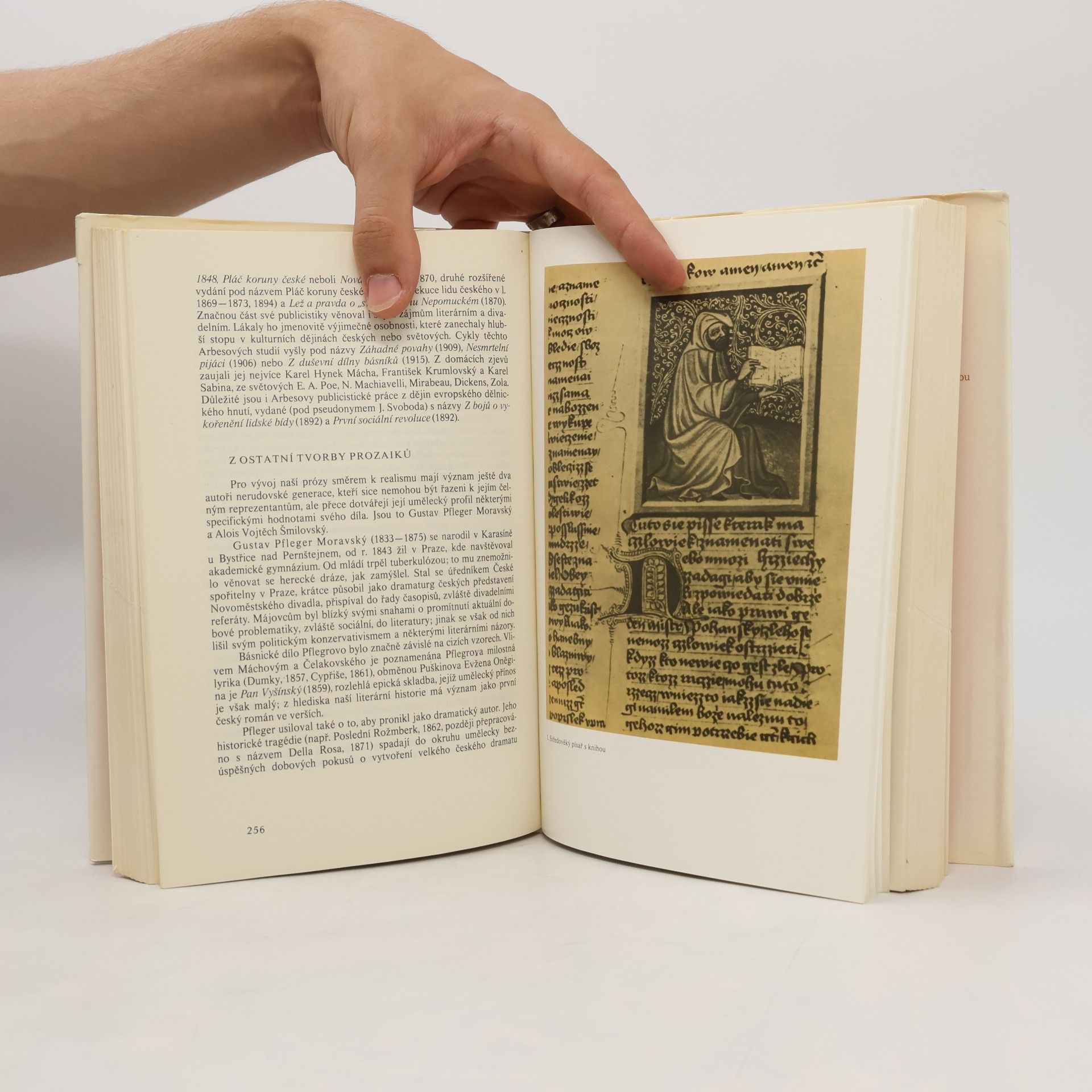 Zdeňka Tichá Průvodce po dějinách české literatury