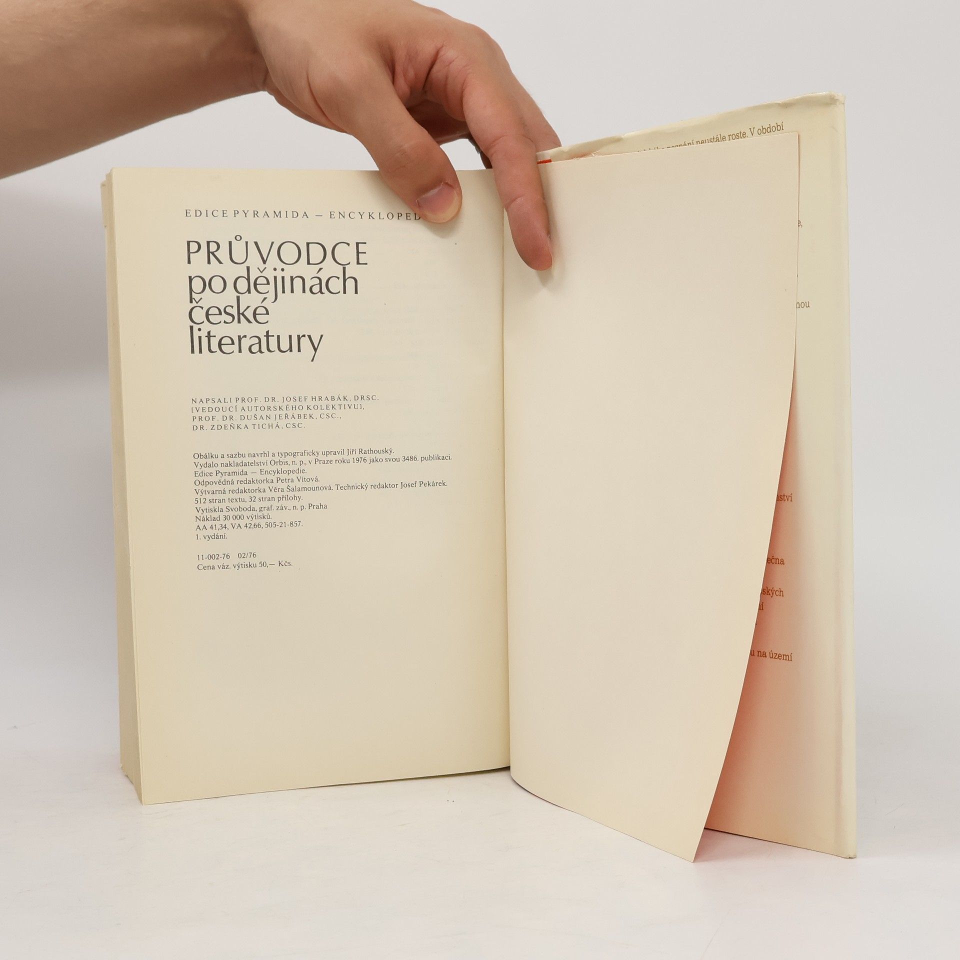 Zdeňka Tichá Průvodce po dějinách české literatury