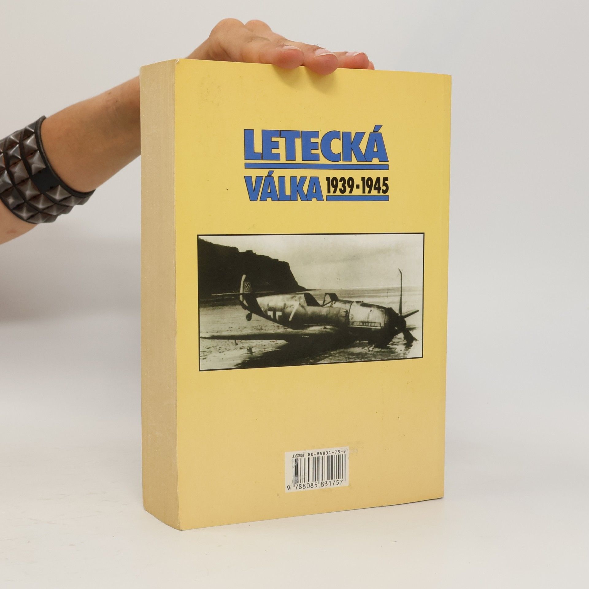 Janusz Piekałkiewicz Letecká válka 1939-1945