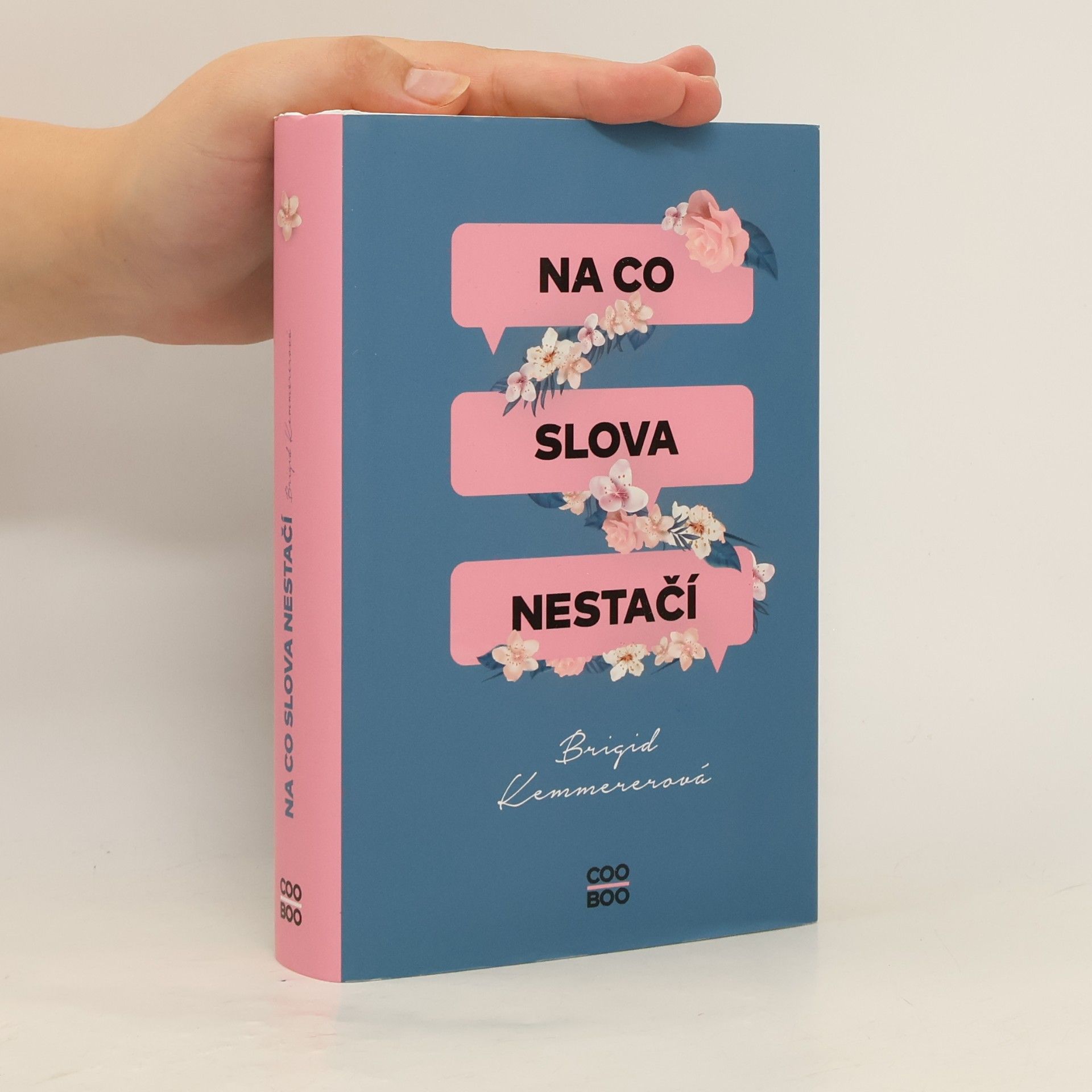 Brigid Kemmerer Na co slova nestačí