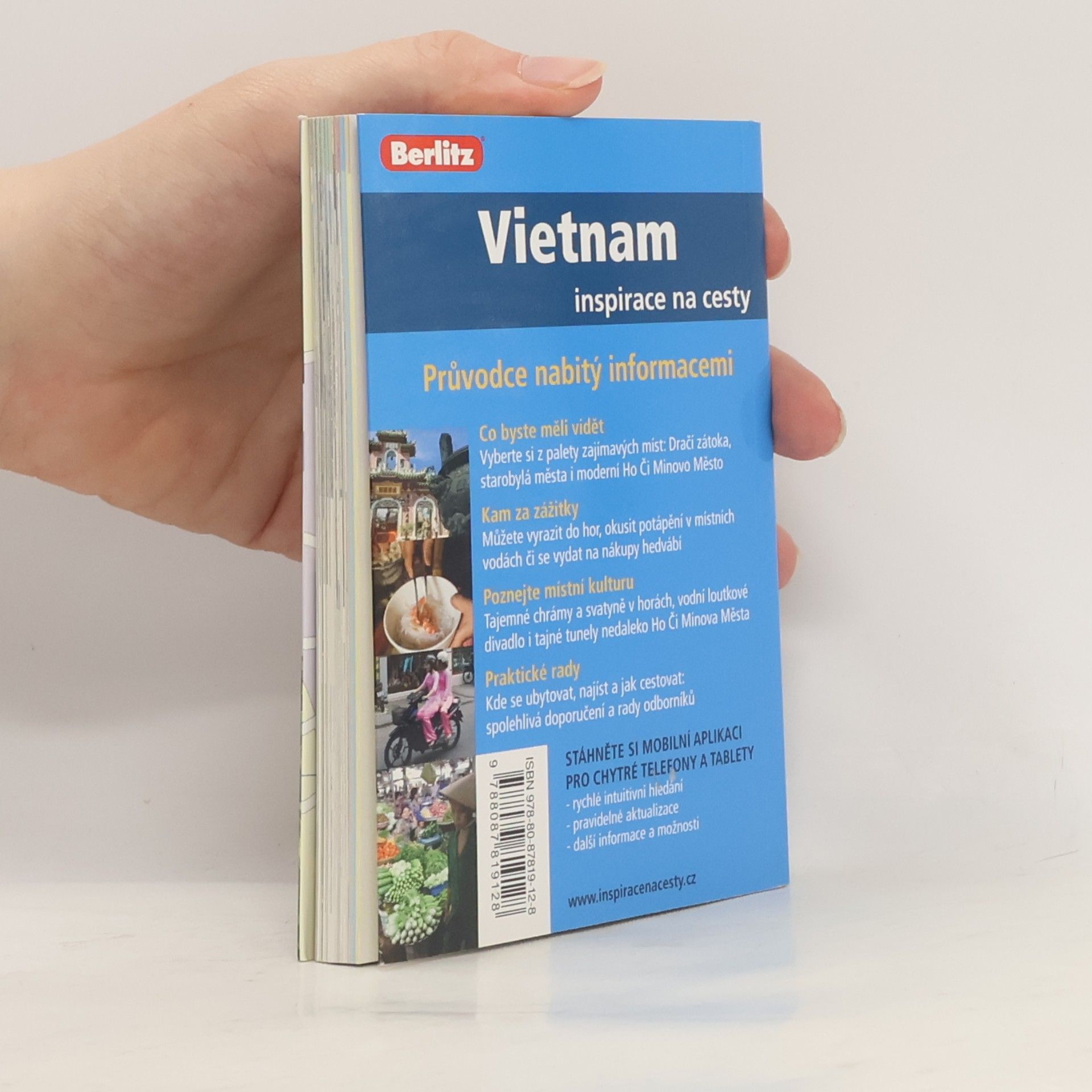Kolektiv autorů Vietnam