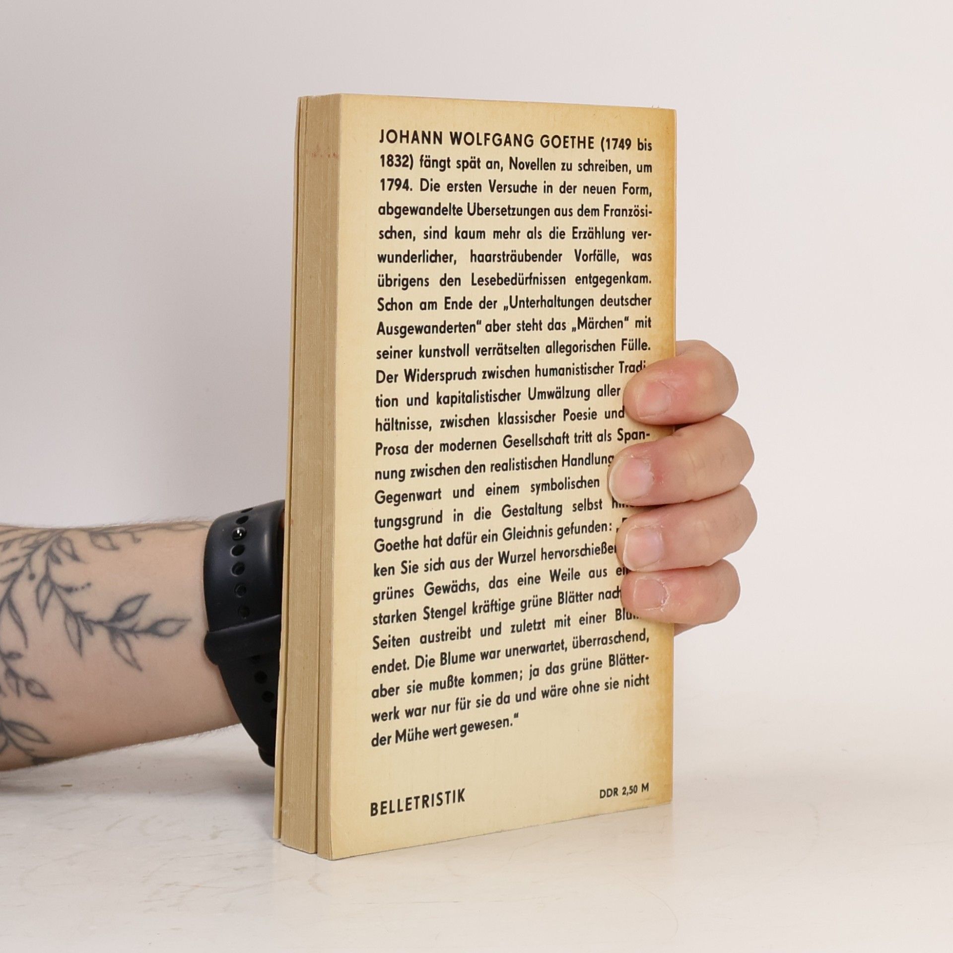 Johann Wolfgang von Goethe Novellen