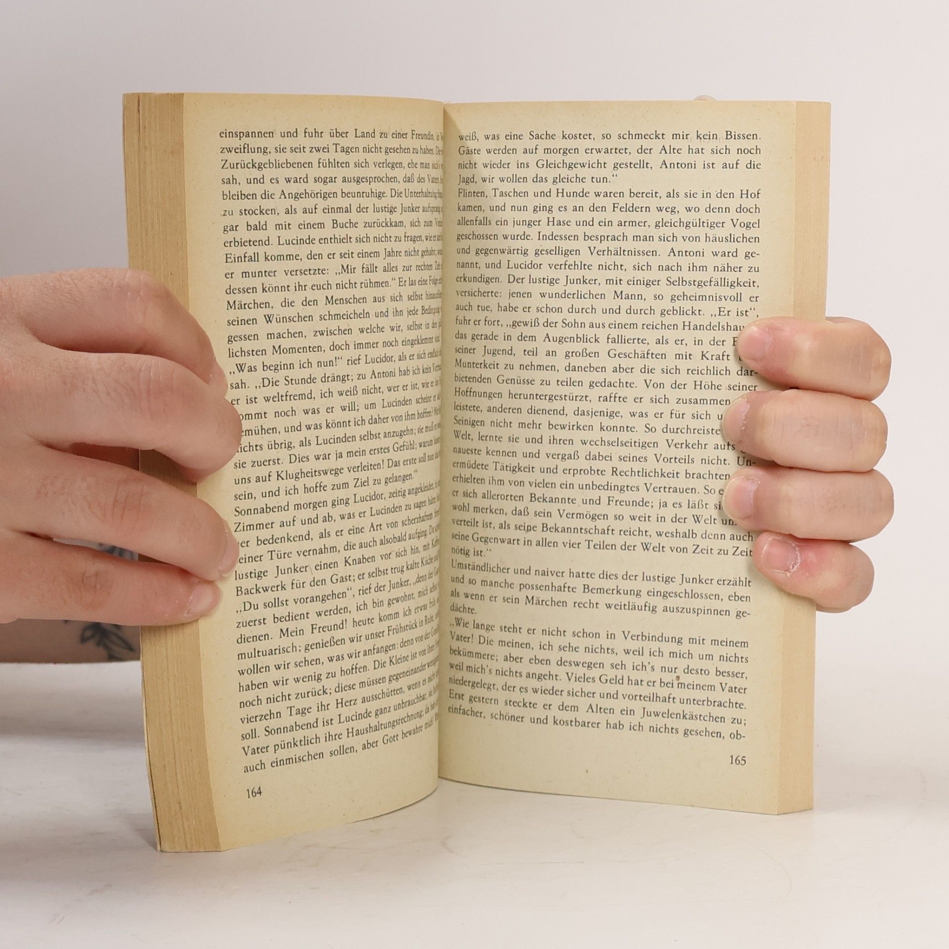 Johann Wolfgang von Goethe Novellen