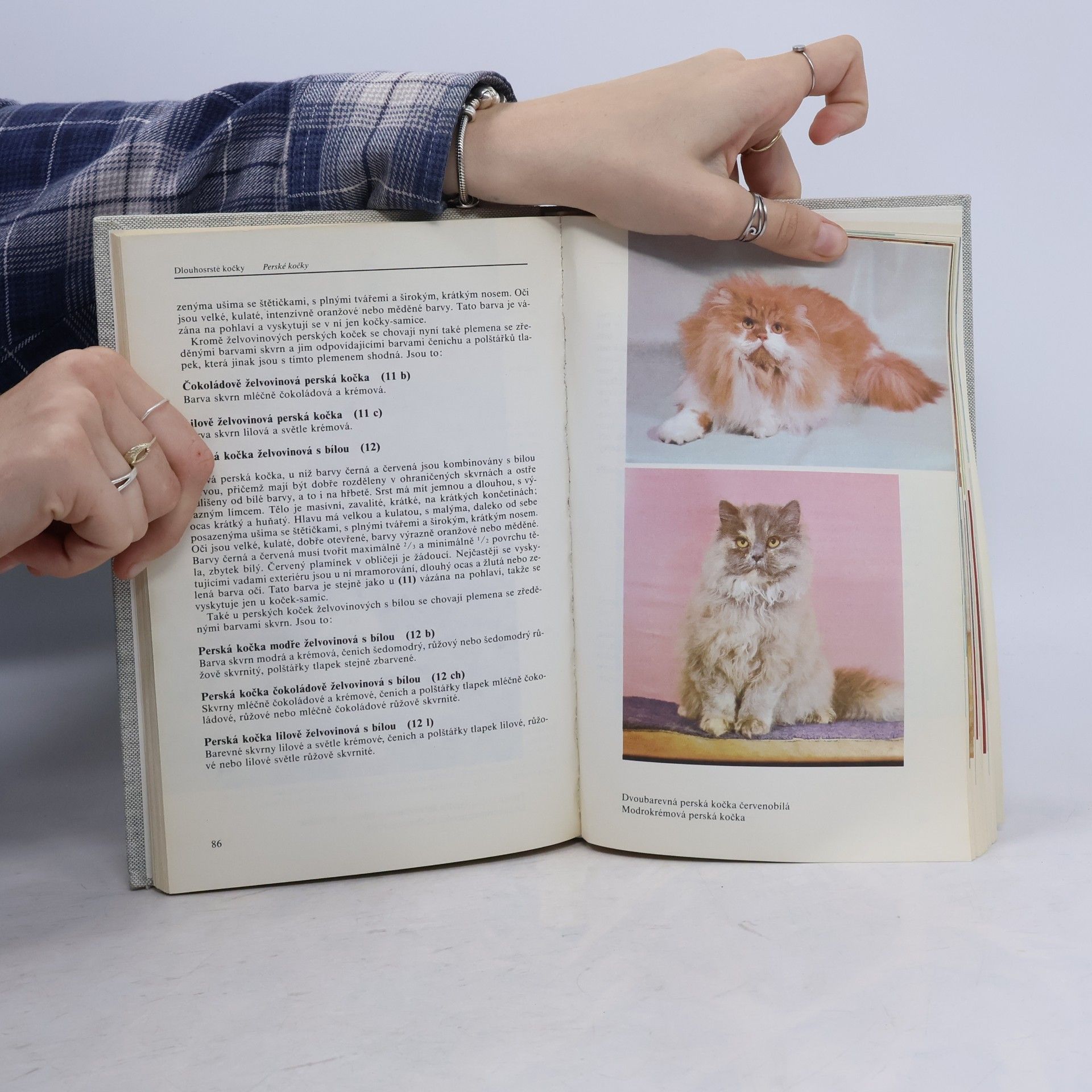 Jan Vařejčko Atlas plemen koček