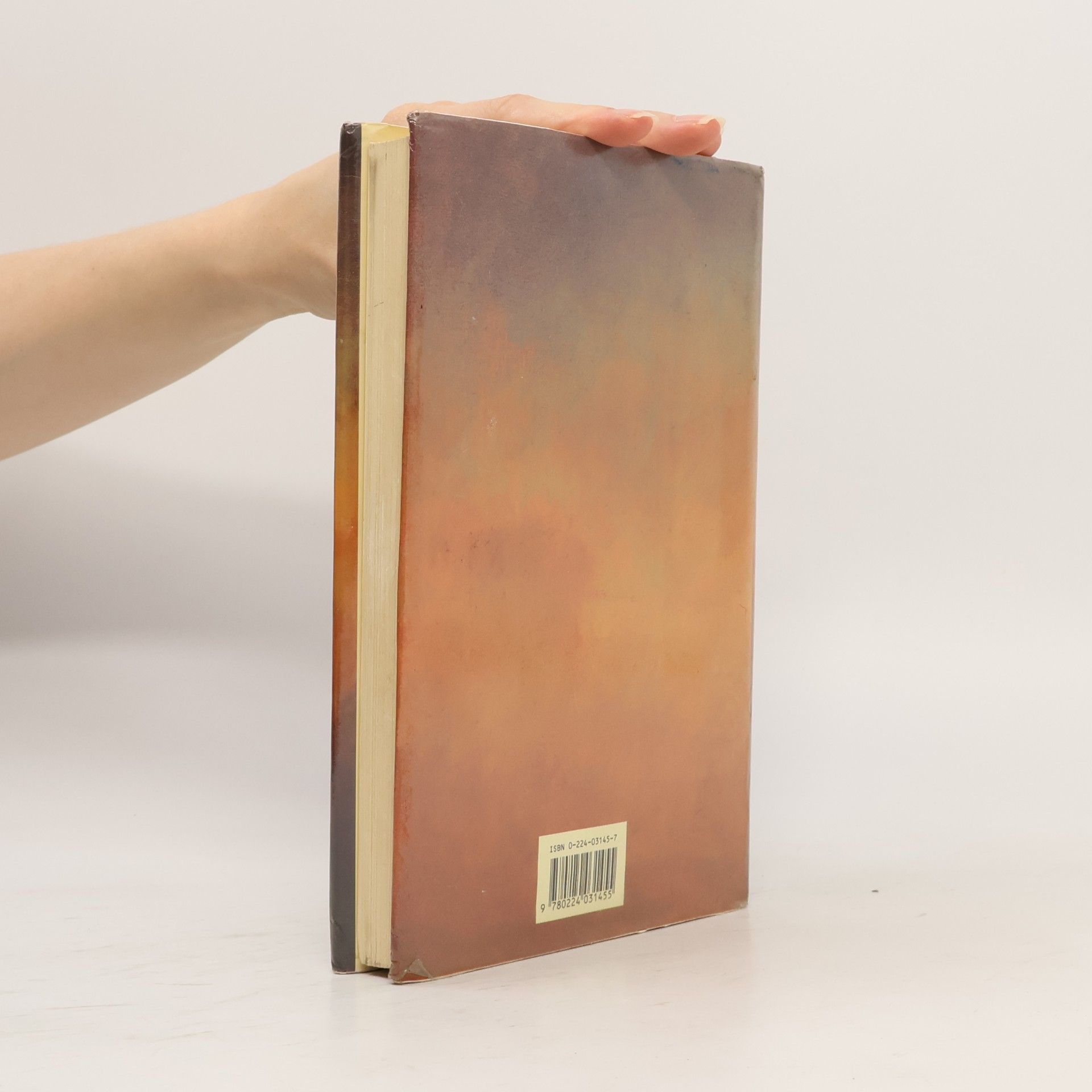 Jeanette Winterson Art & Lies