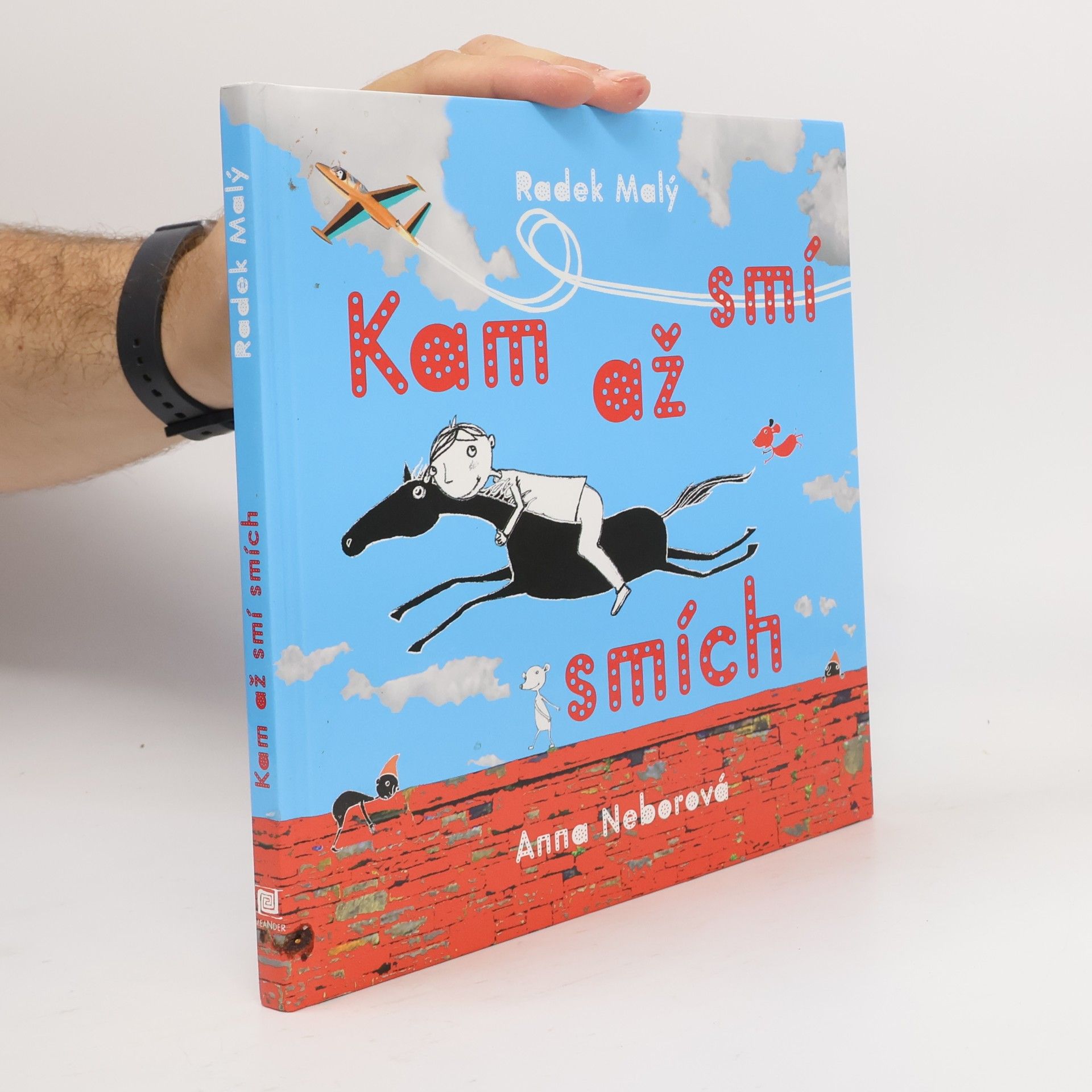 Radek Malý Kam až smí smích