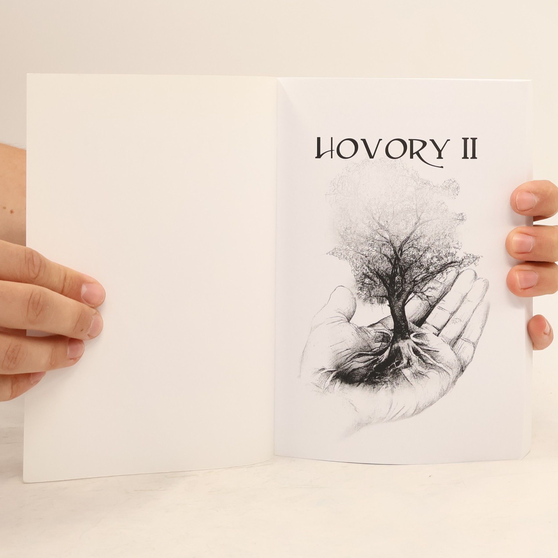 Autorenkollektiv Hovory II
