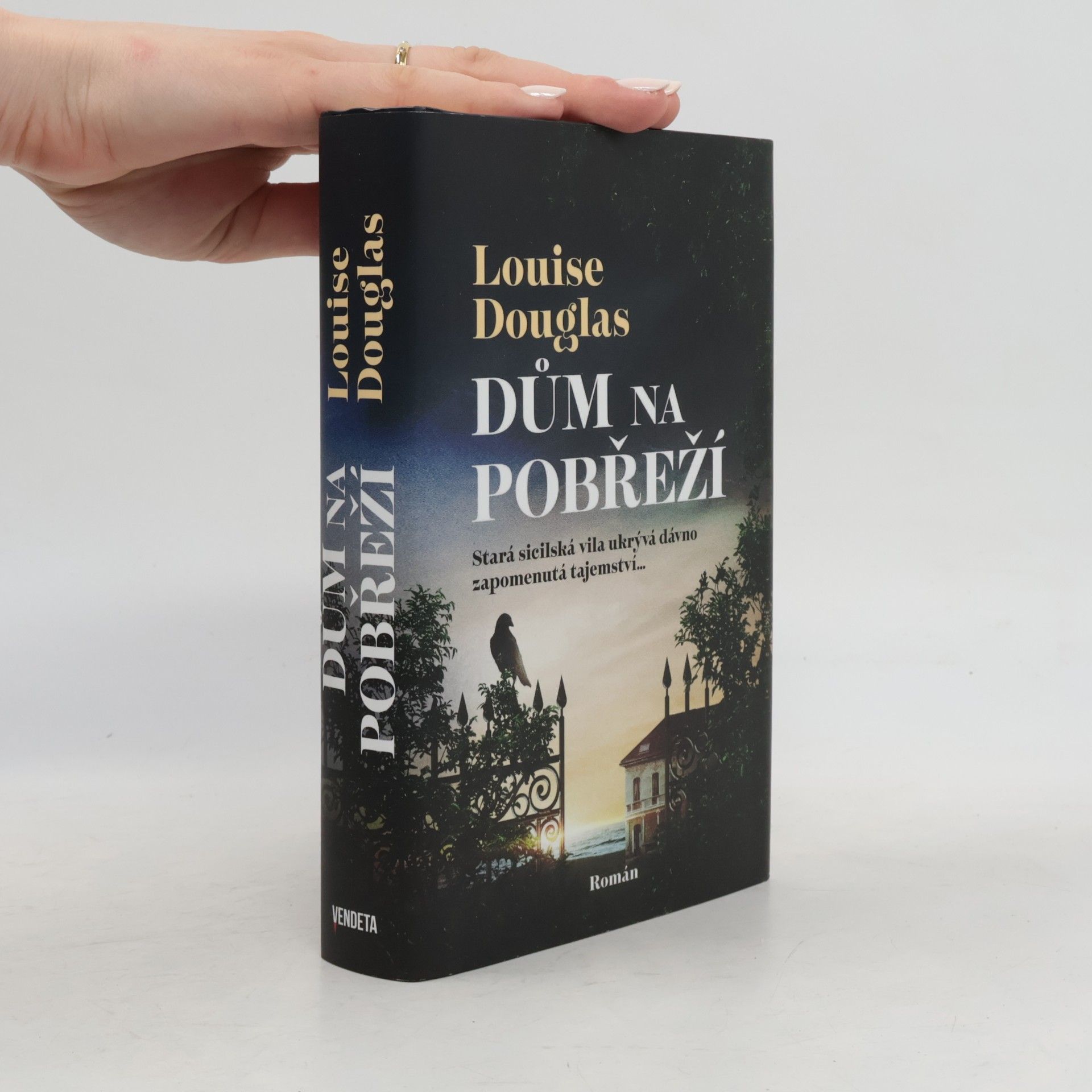 Pavla Koós Dům na pobřeží