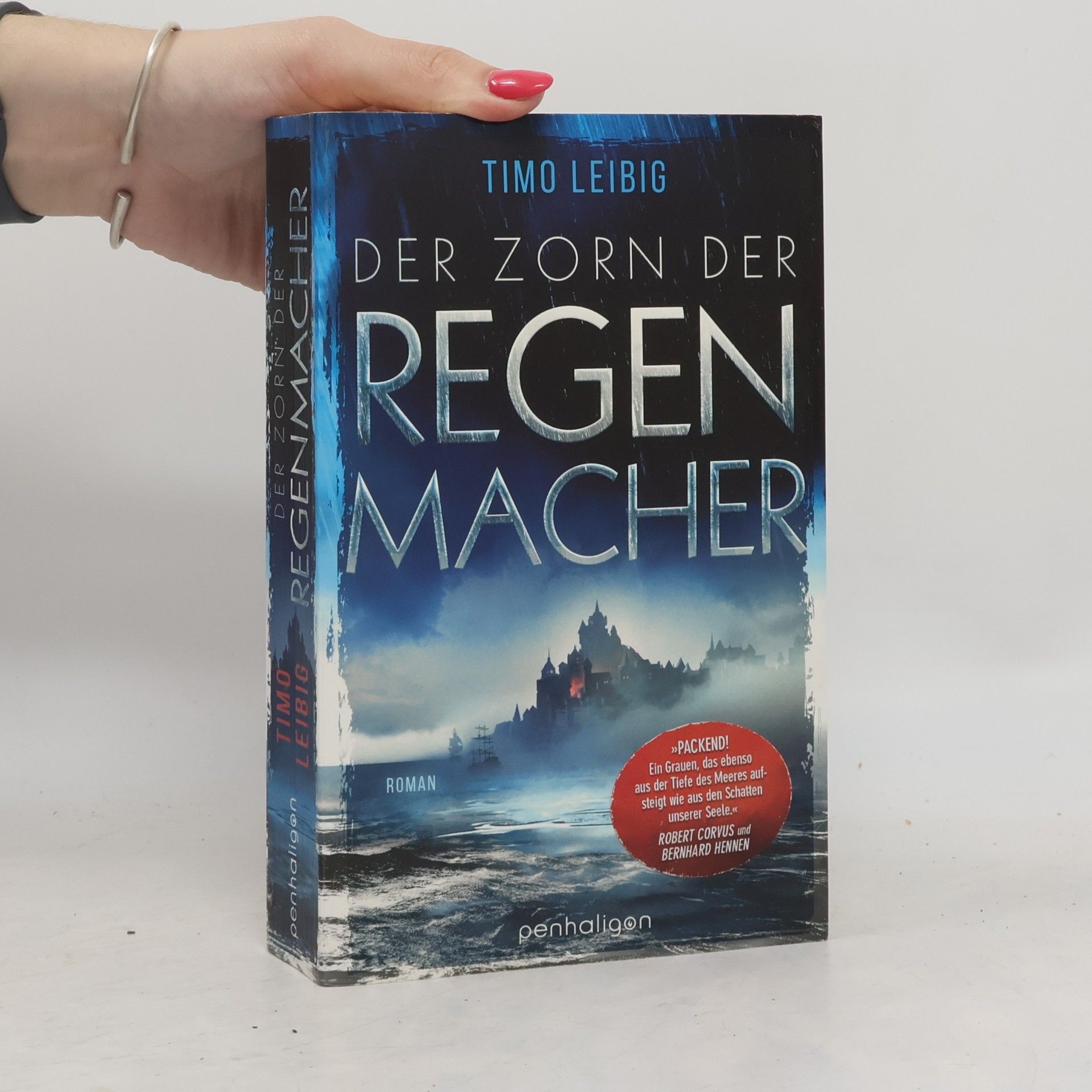 Timo Leibig Der Zorn der Regenmacher