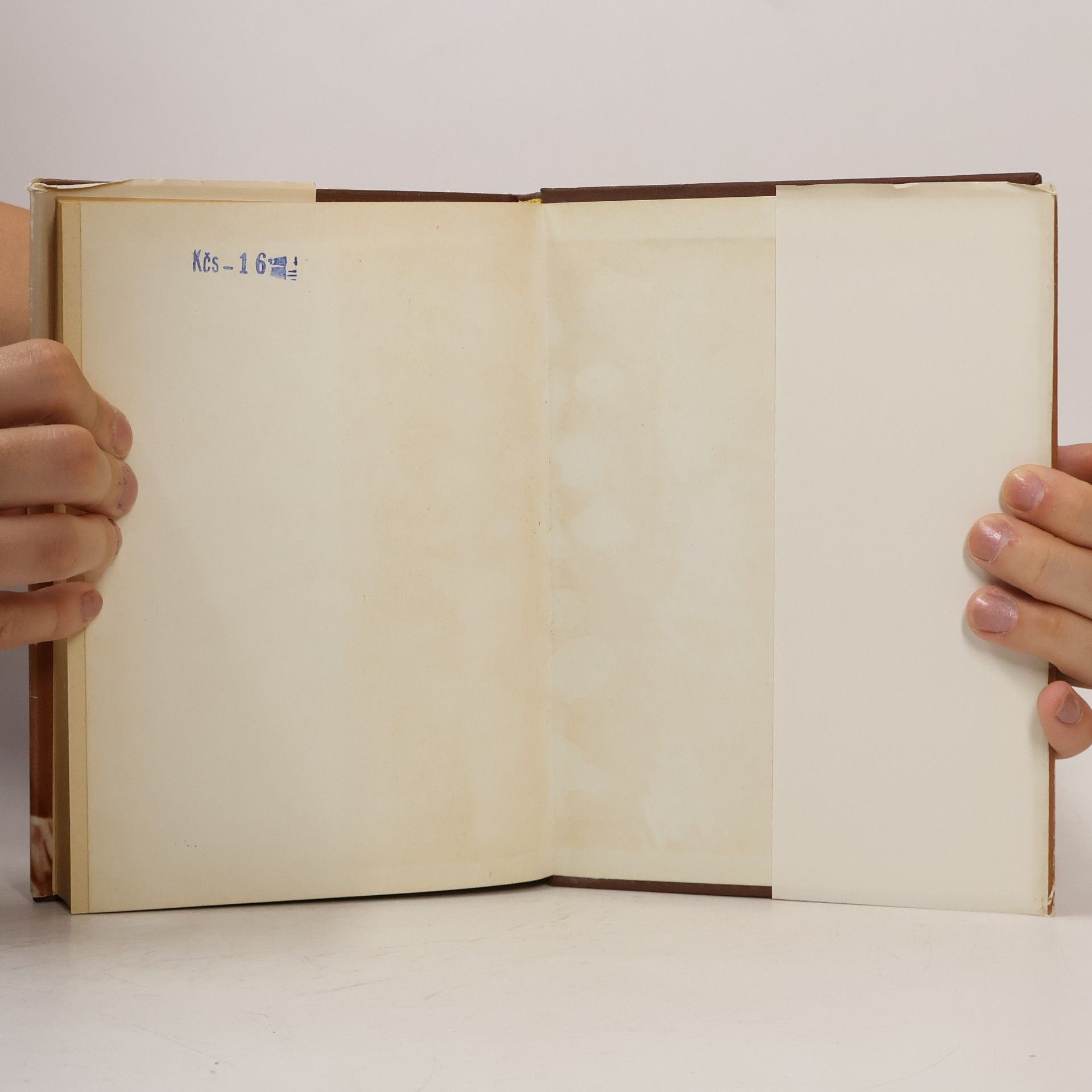 Theodore Dreiser Life, art and America