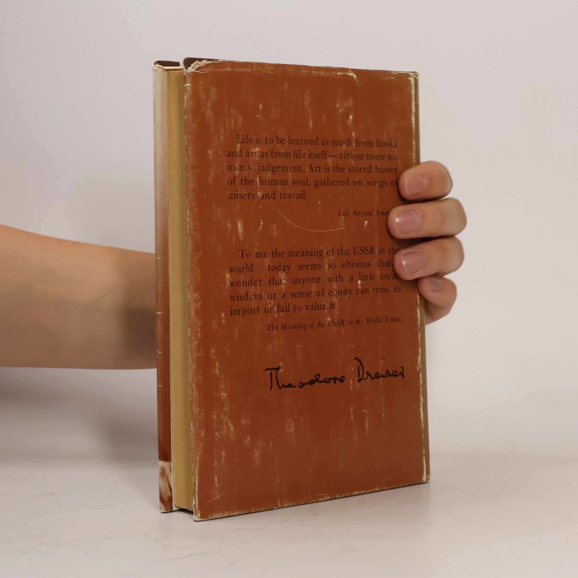 Theodore Dreiser Life, art and America