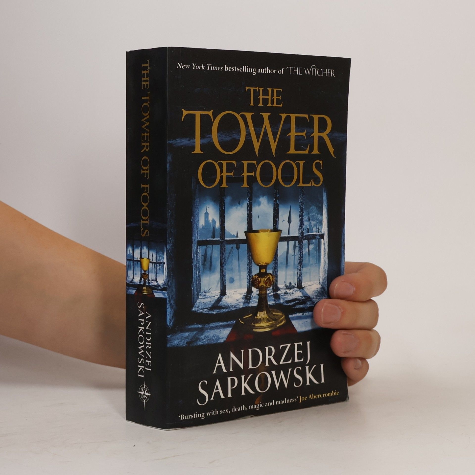 The Tower of Fools