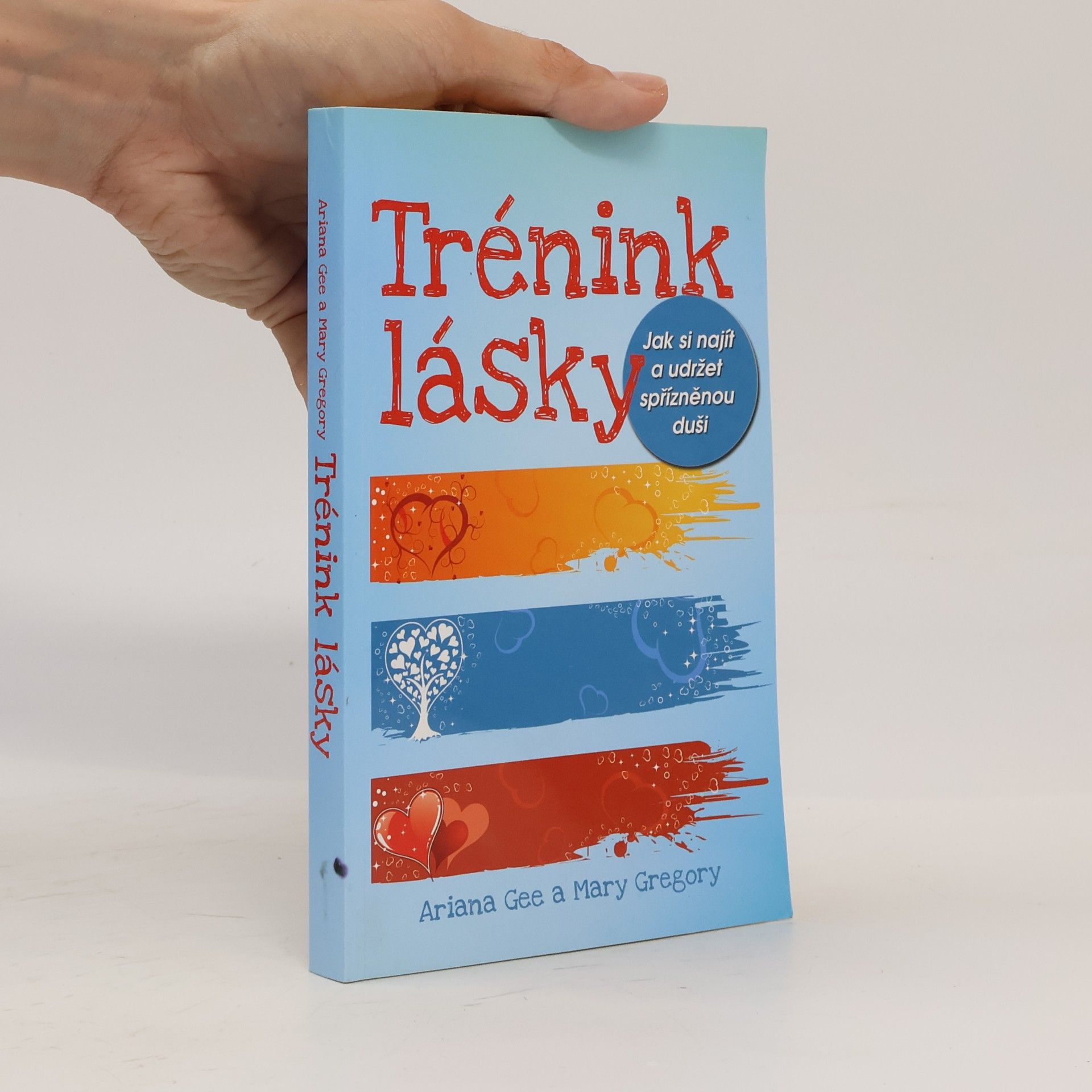 Mary Gregory Trénink lásky: Jak si najít a udržet spřízněnou duši