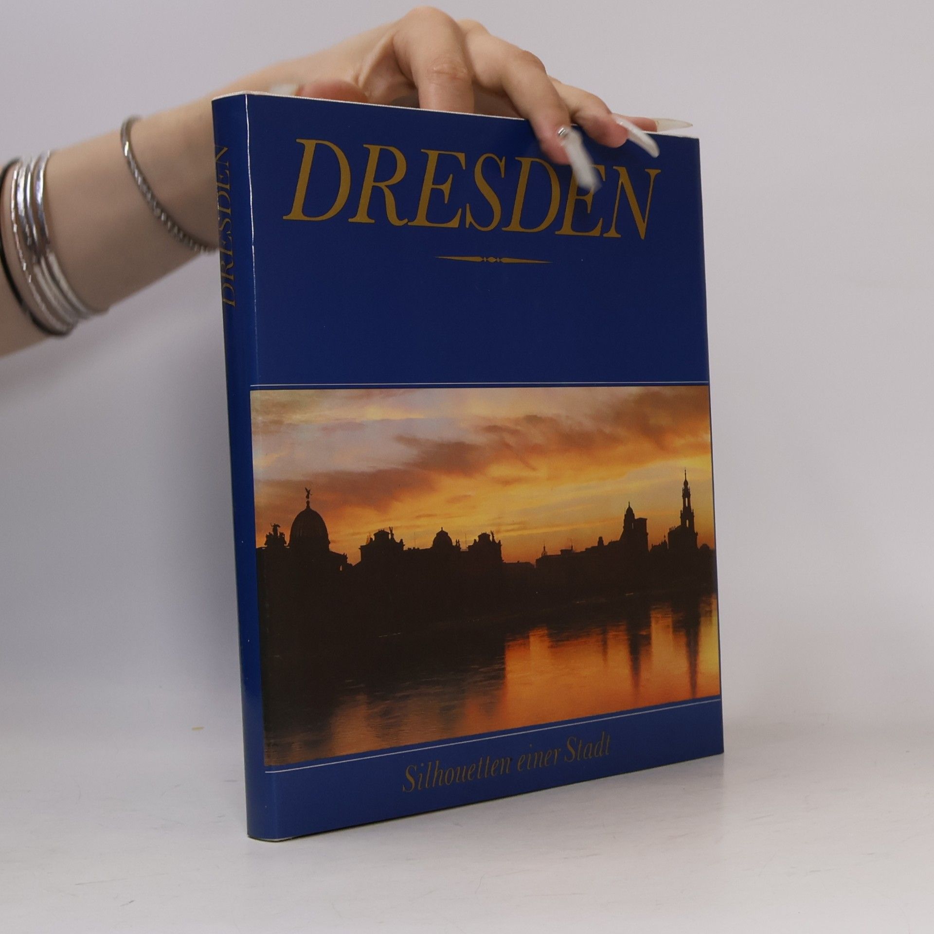 Autores varios Dresden