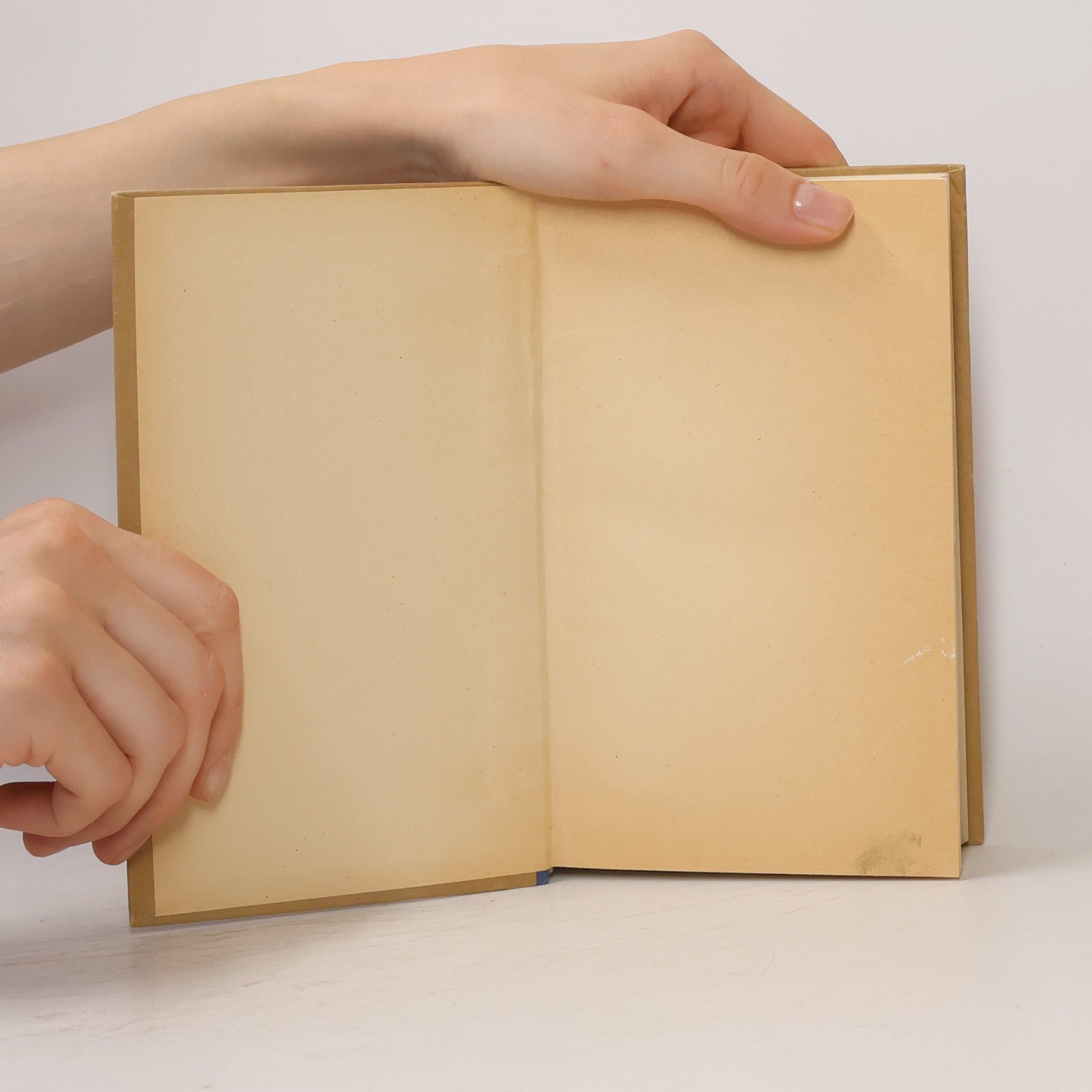 Walter Brugger Philosophisches Wörterbuch