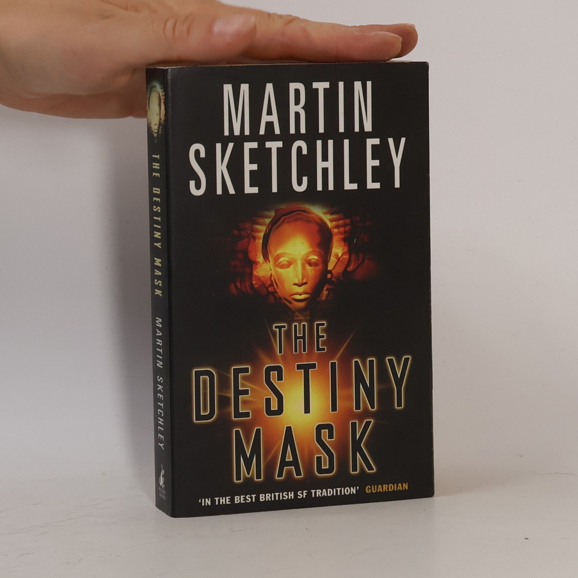 Martin Sketchley The Destiny Mask