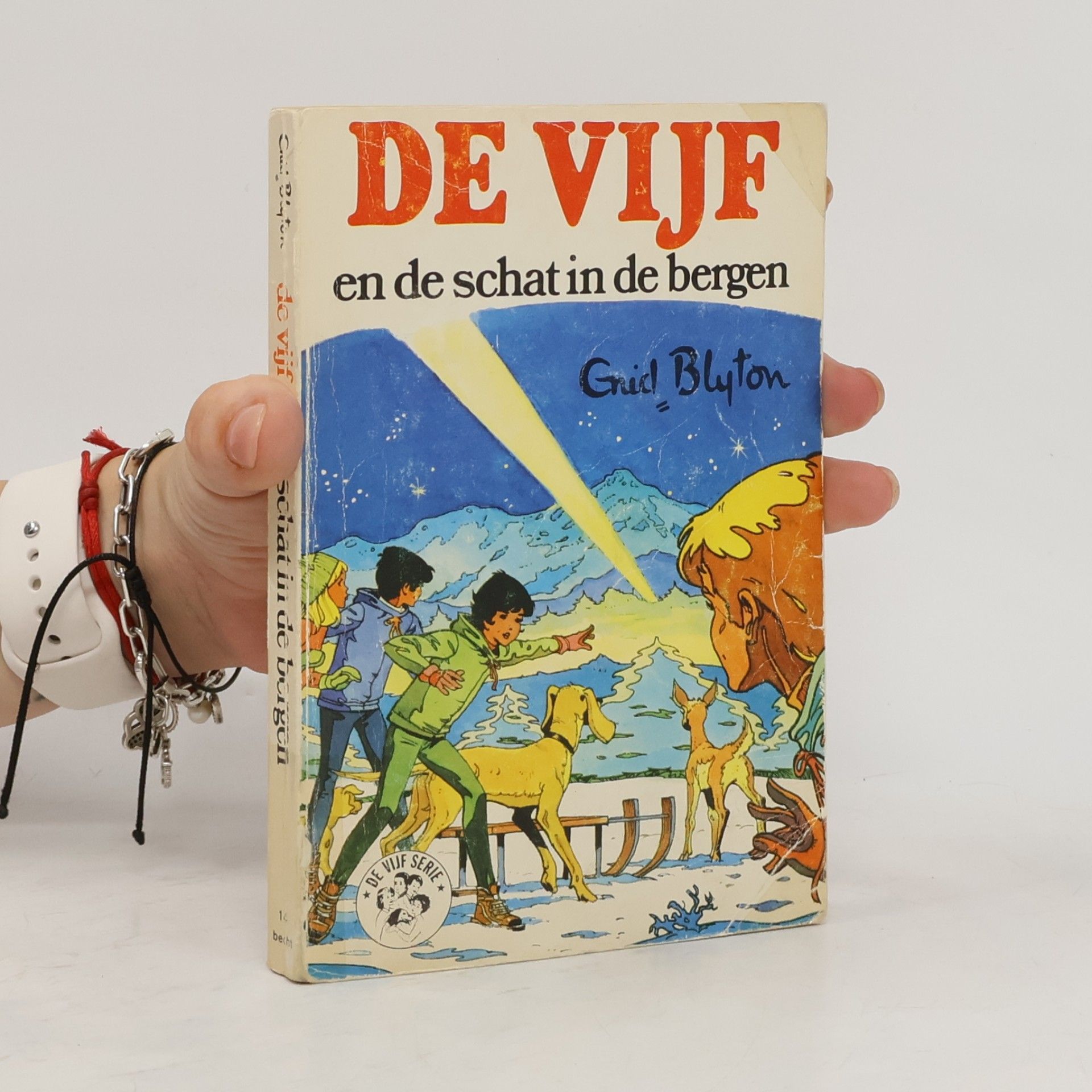 D.L. Uyt den Bogaard De Vijf Serie - 14: De Vijf en de schat in de bergen