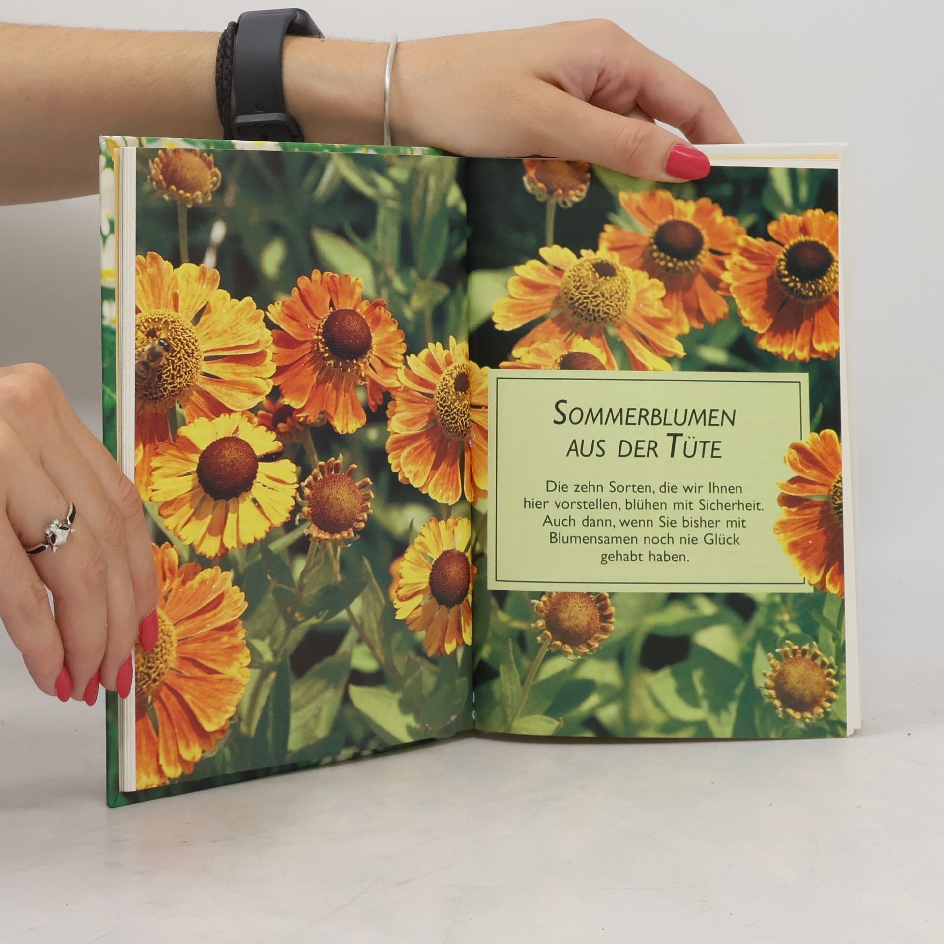 Ute York Blumen im Sommer