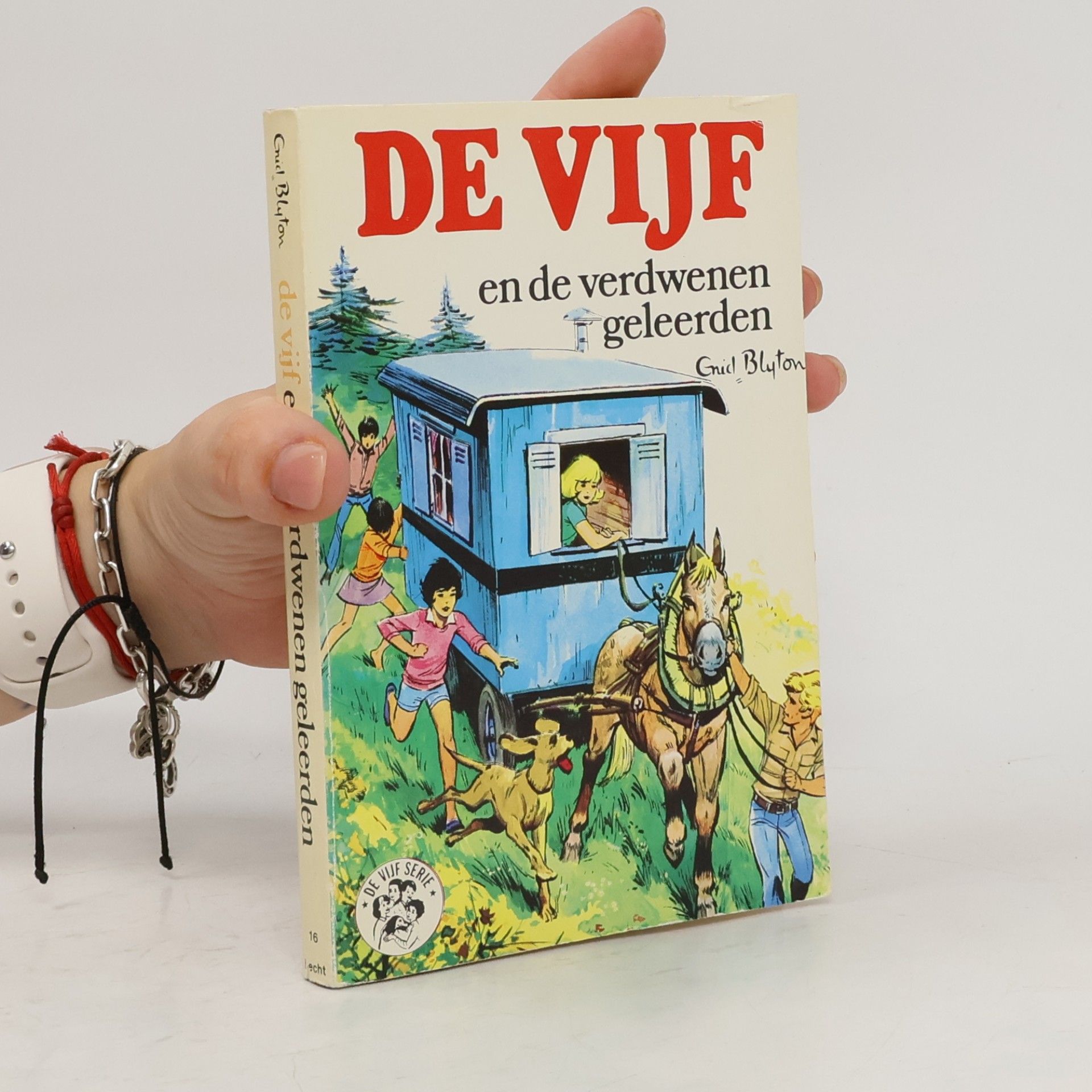 De Vijf Serie - 16: De Vijf en de verdwenen Geleerden