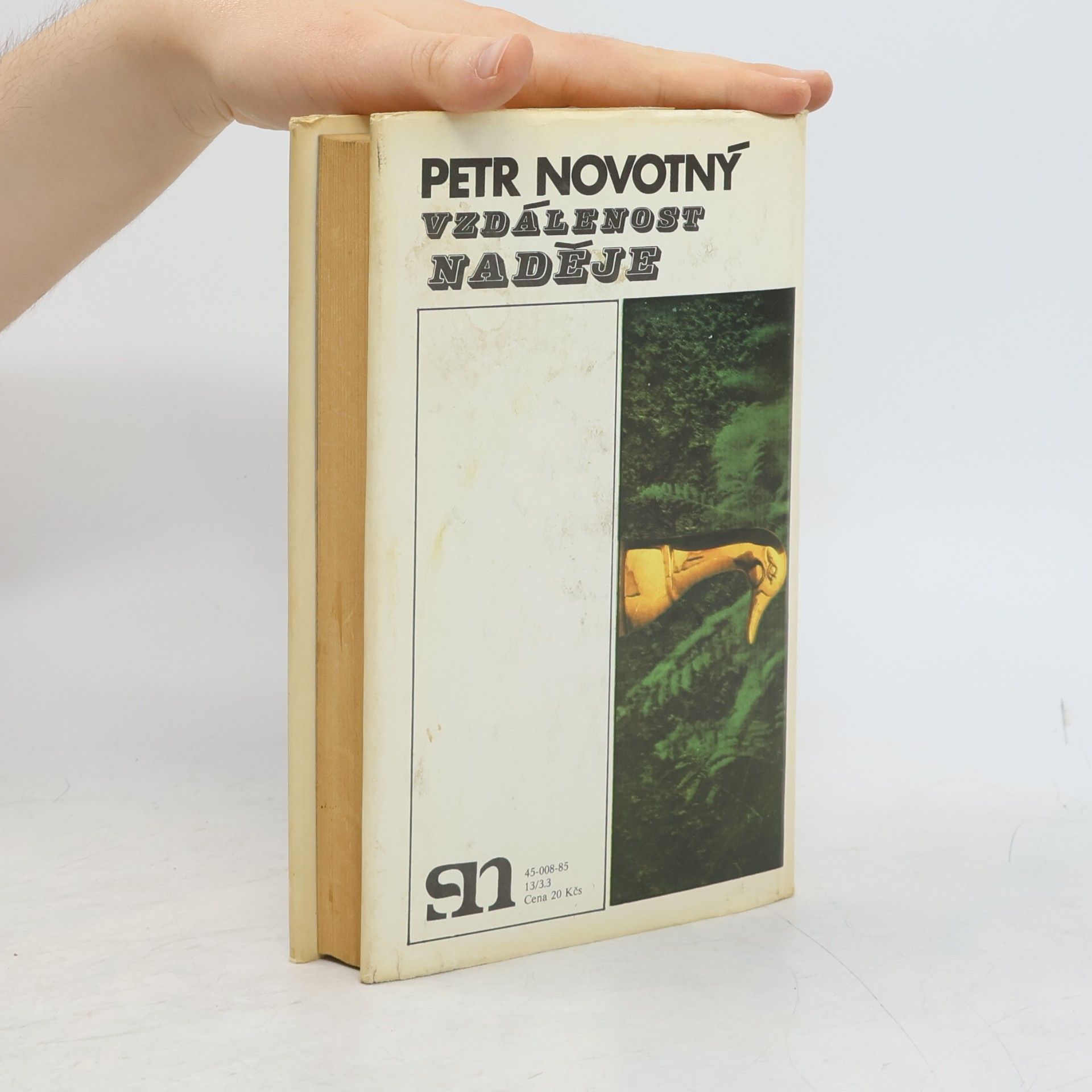 Petr Novotný Vzdálenost naděje