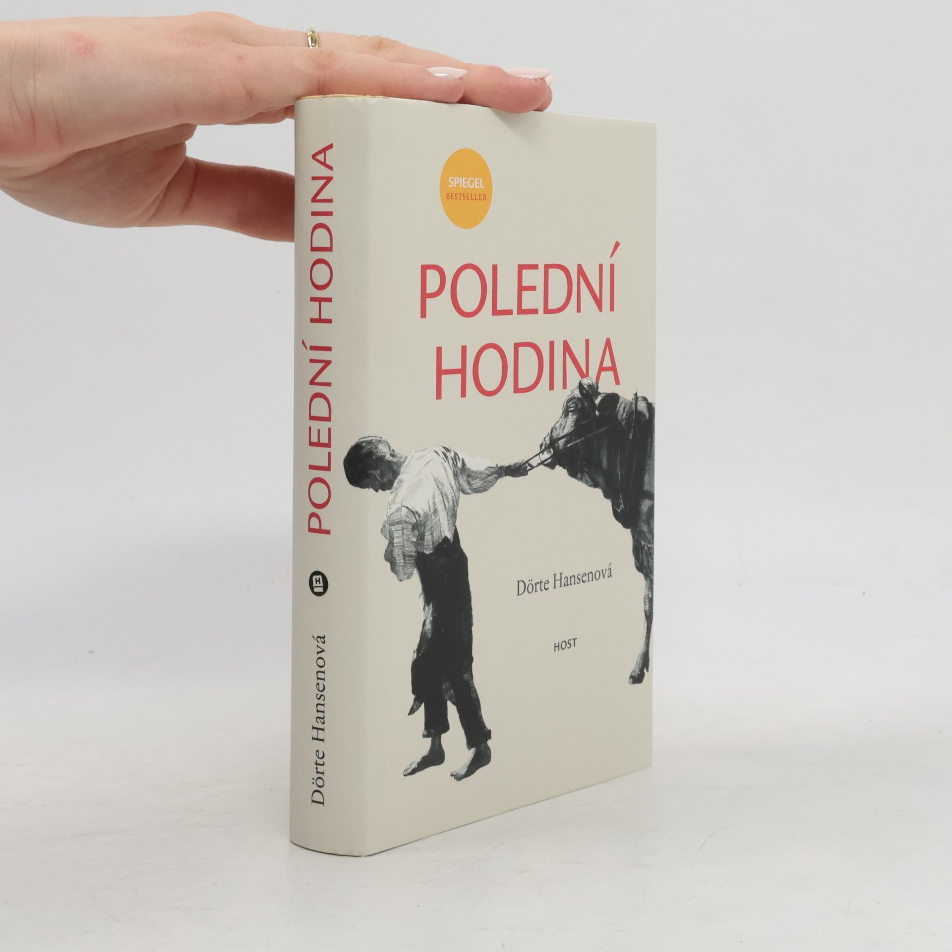 Dörte Hansen Polední hodina