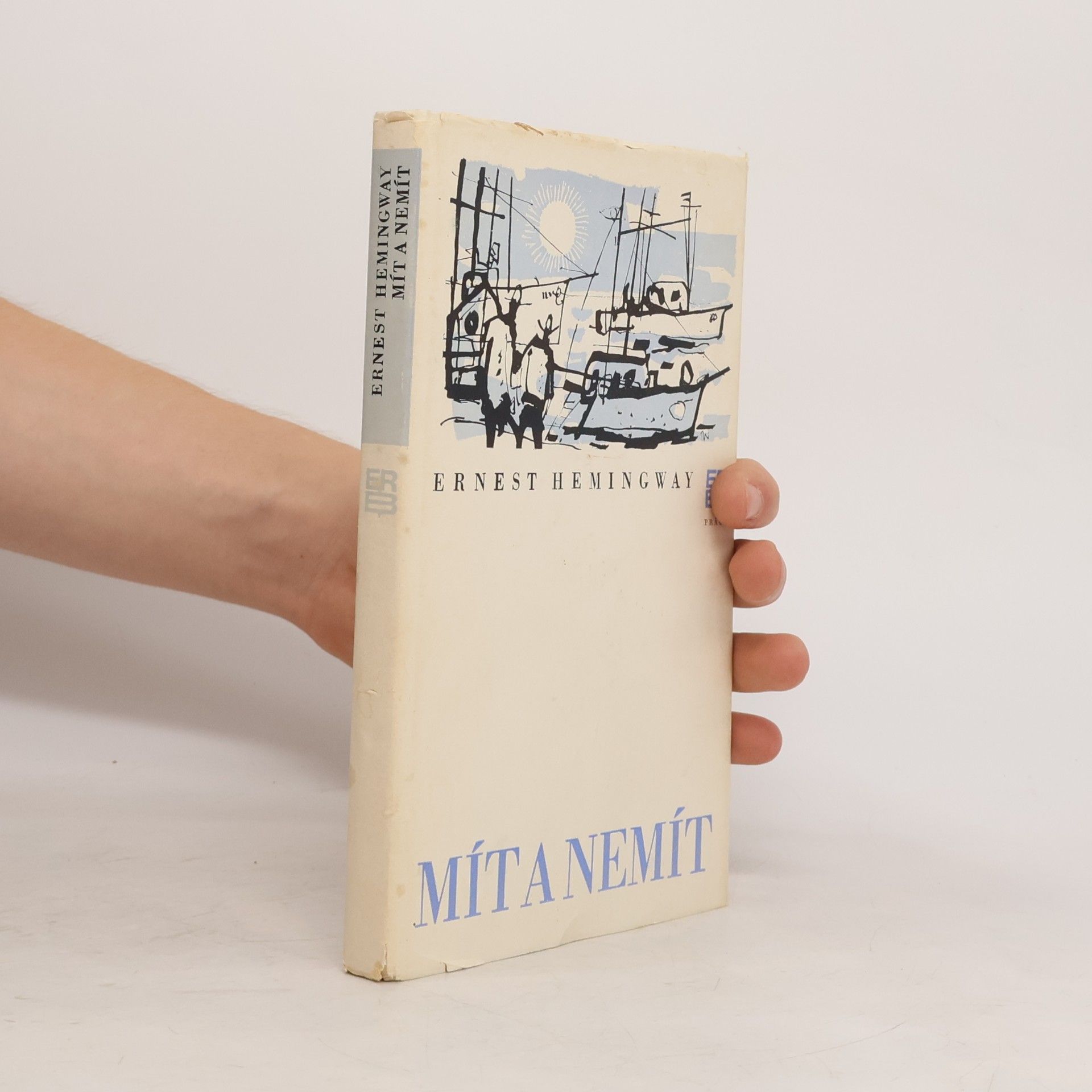 Ernest Hemingway Mít a nemít