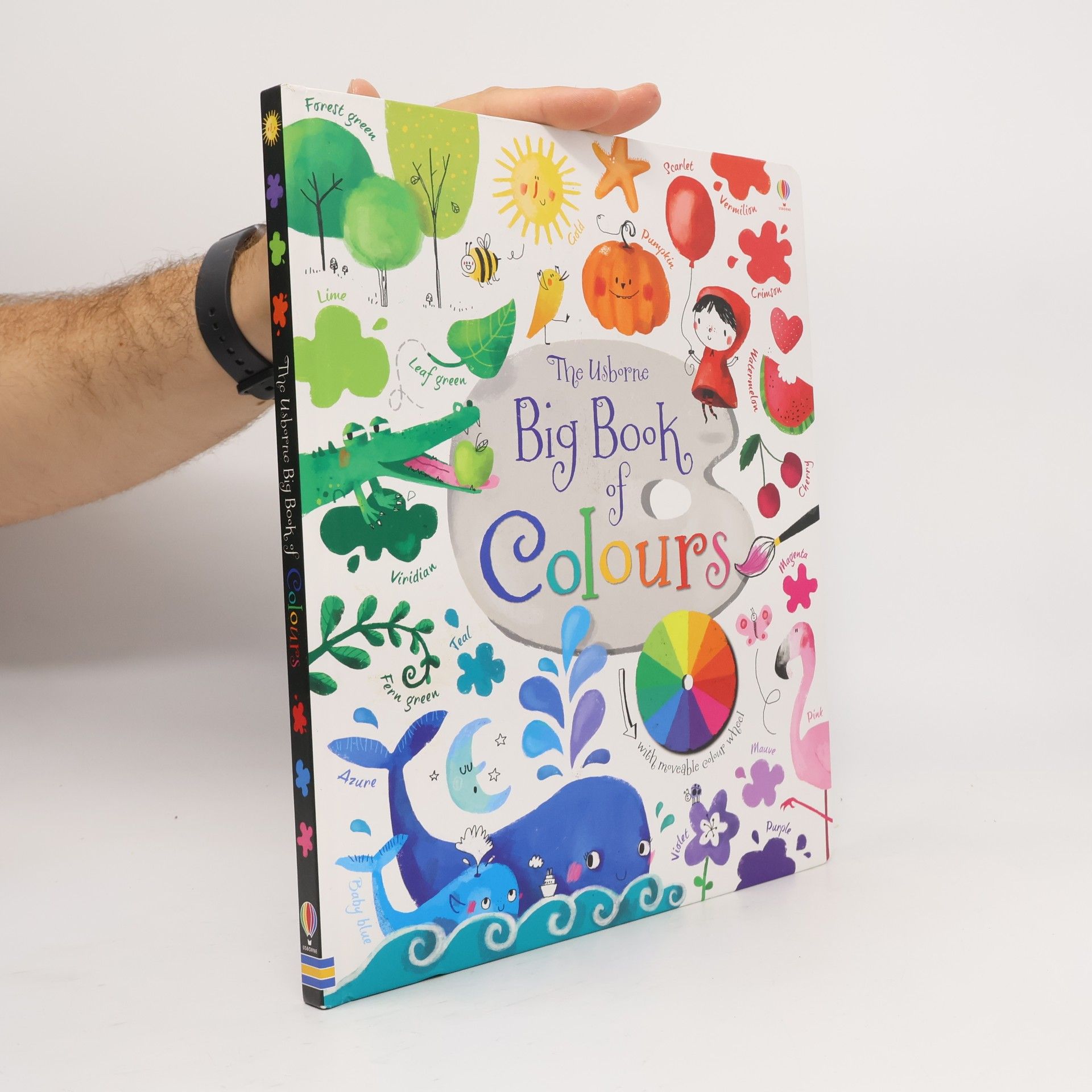 The Usborne big book of colours