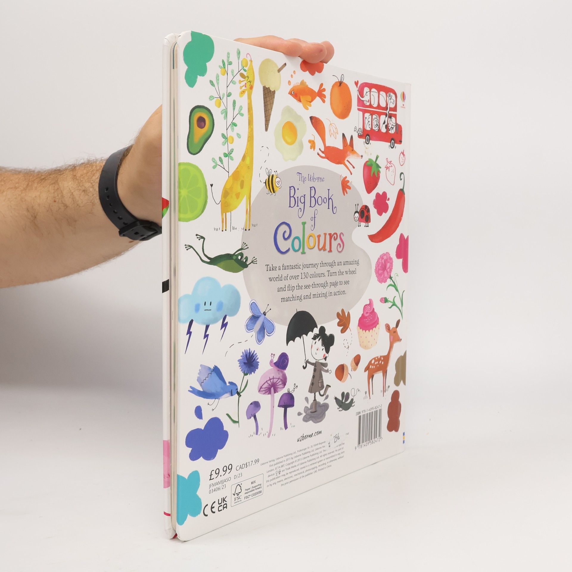 Felicity Brooks The Usborne big book of colours