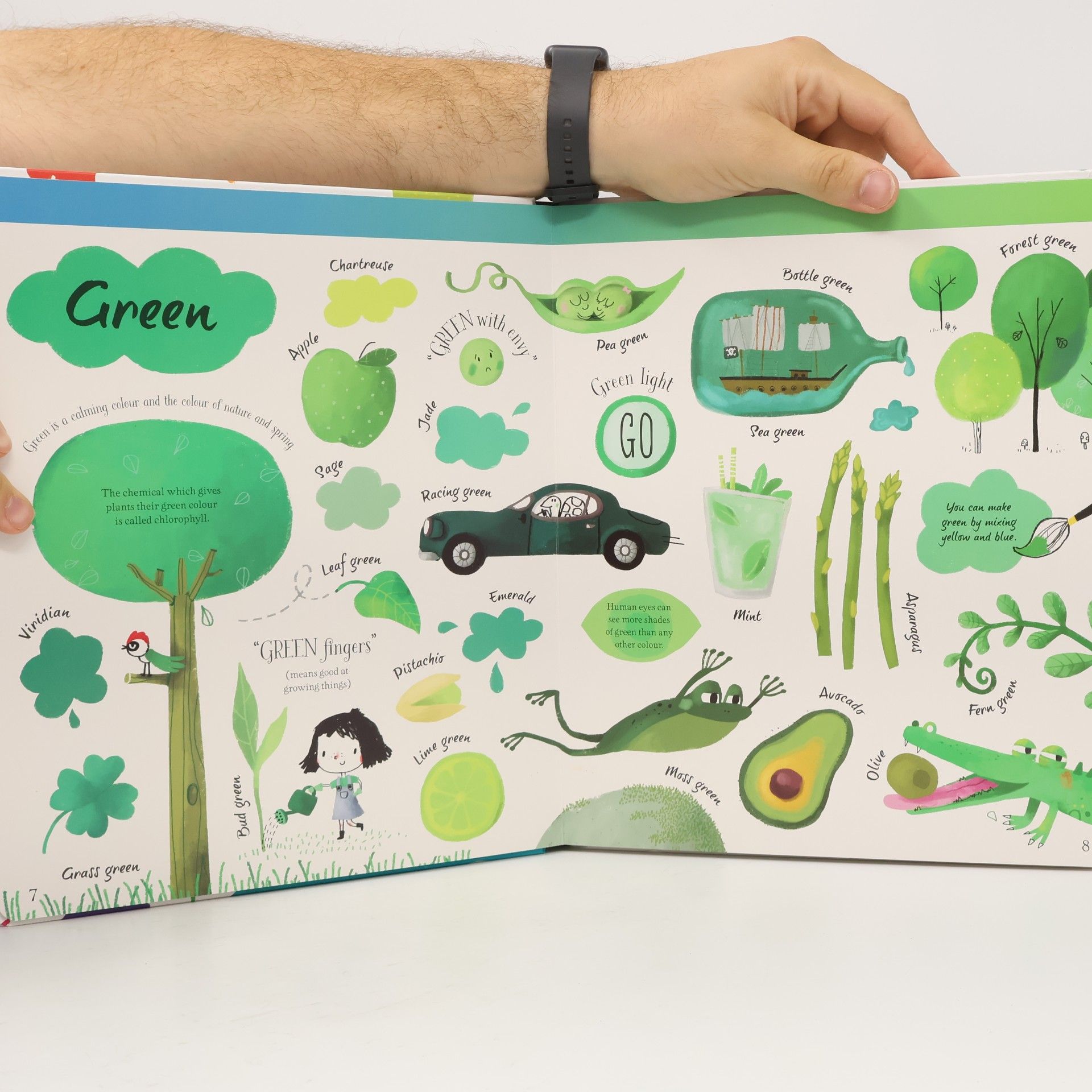 Felicity Brooks The Usborne big book of colours