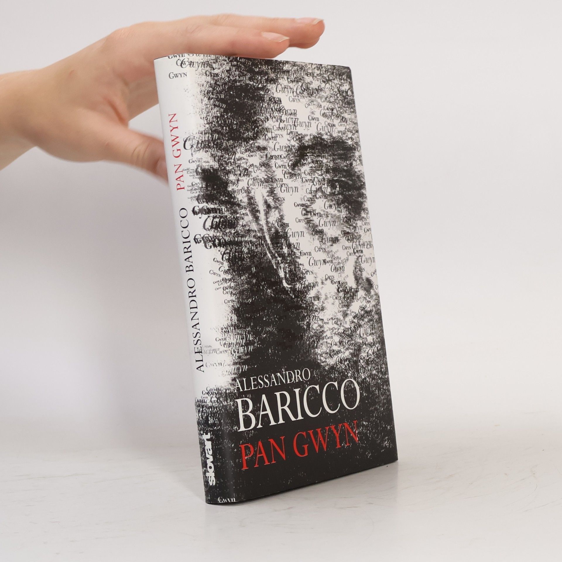 Alessandro Baricco Pan Gwyn