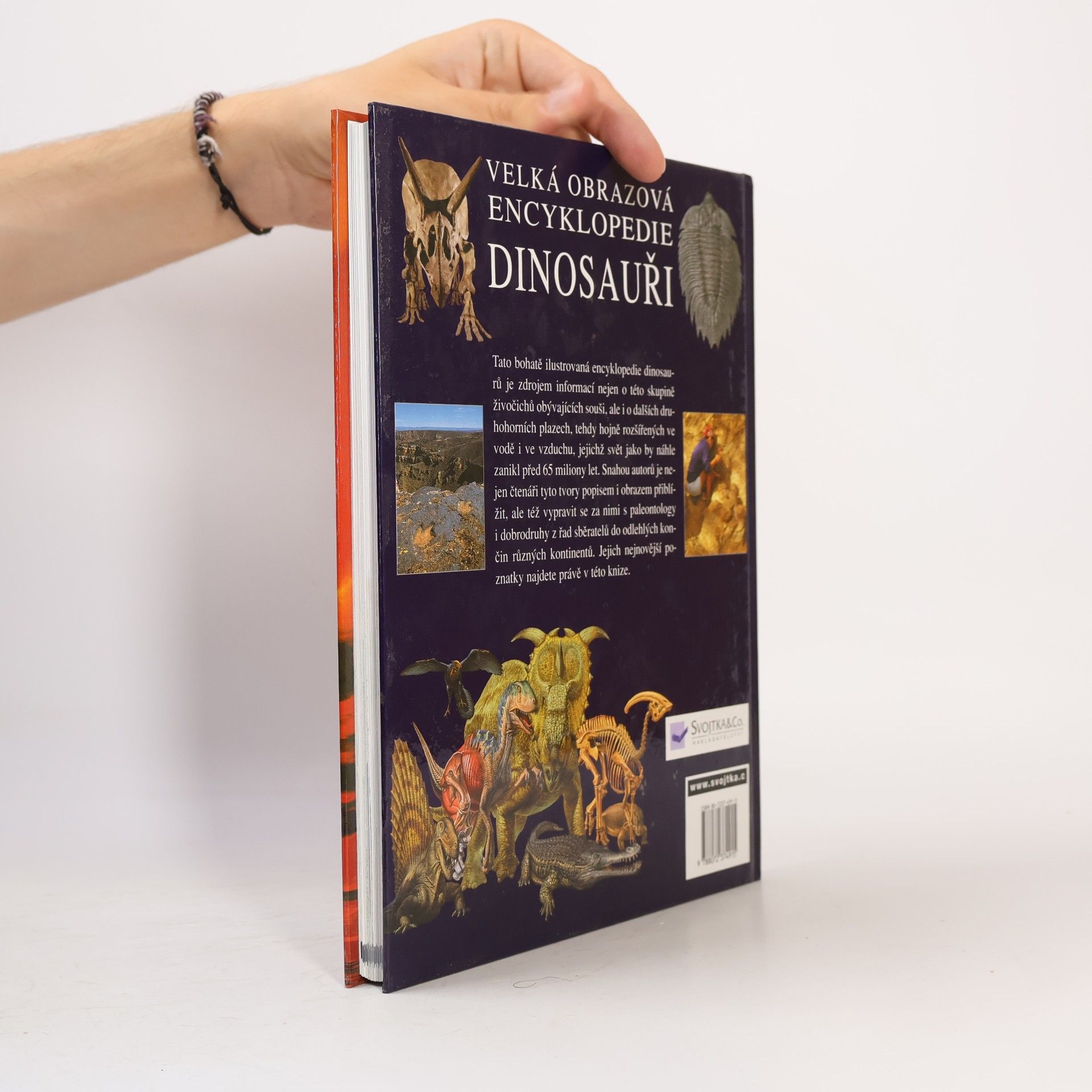 David Burnie Velká obrazová encyklopedie. Dinosauři