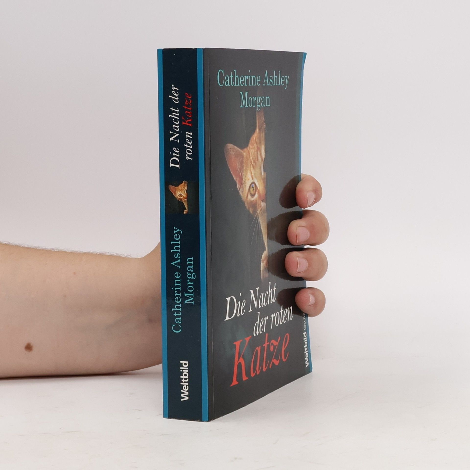 Catherine Ashley Morgan Die Nacht der roten Katze