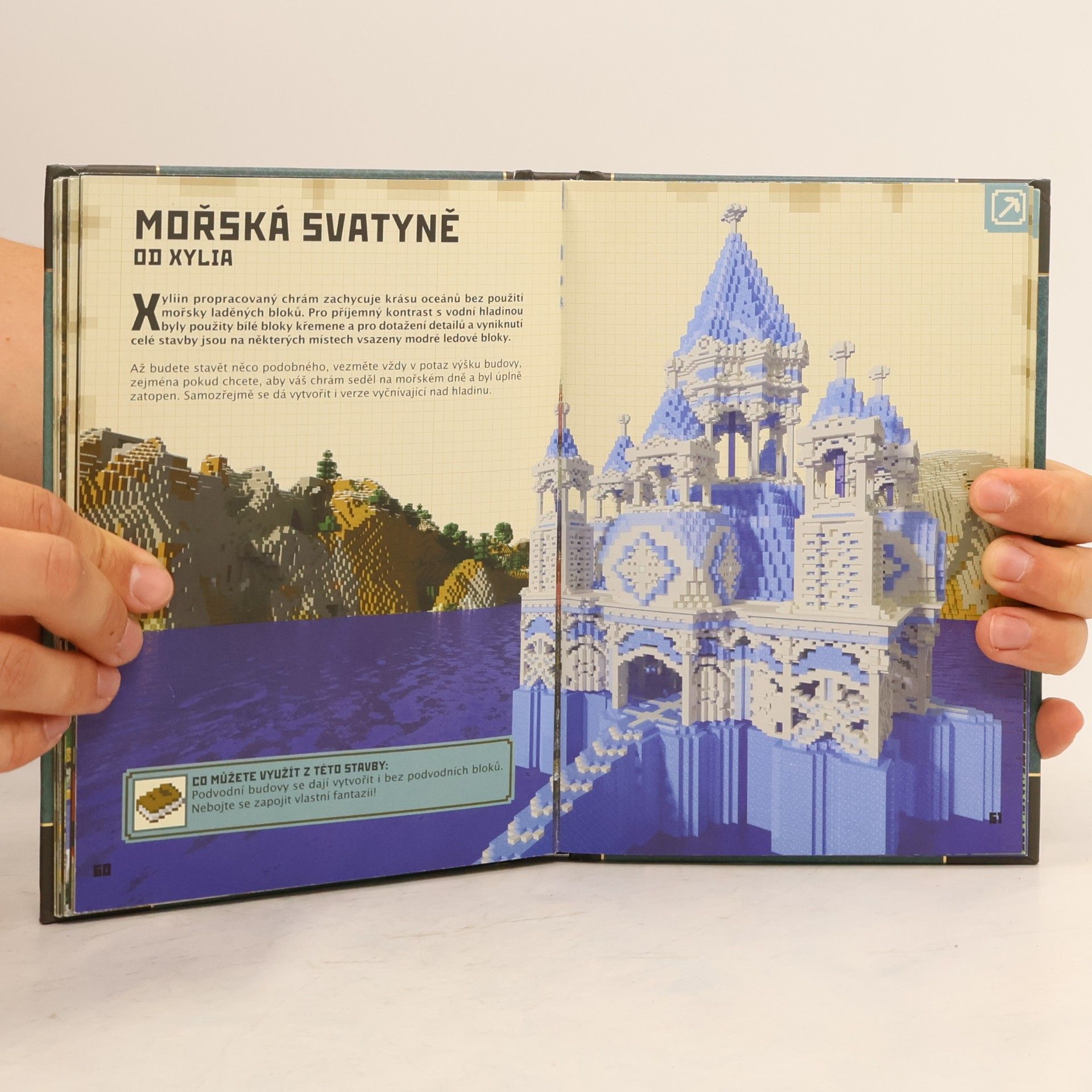 Matyáš Theodor Frydrych Minecraft: Stavitelská příručka