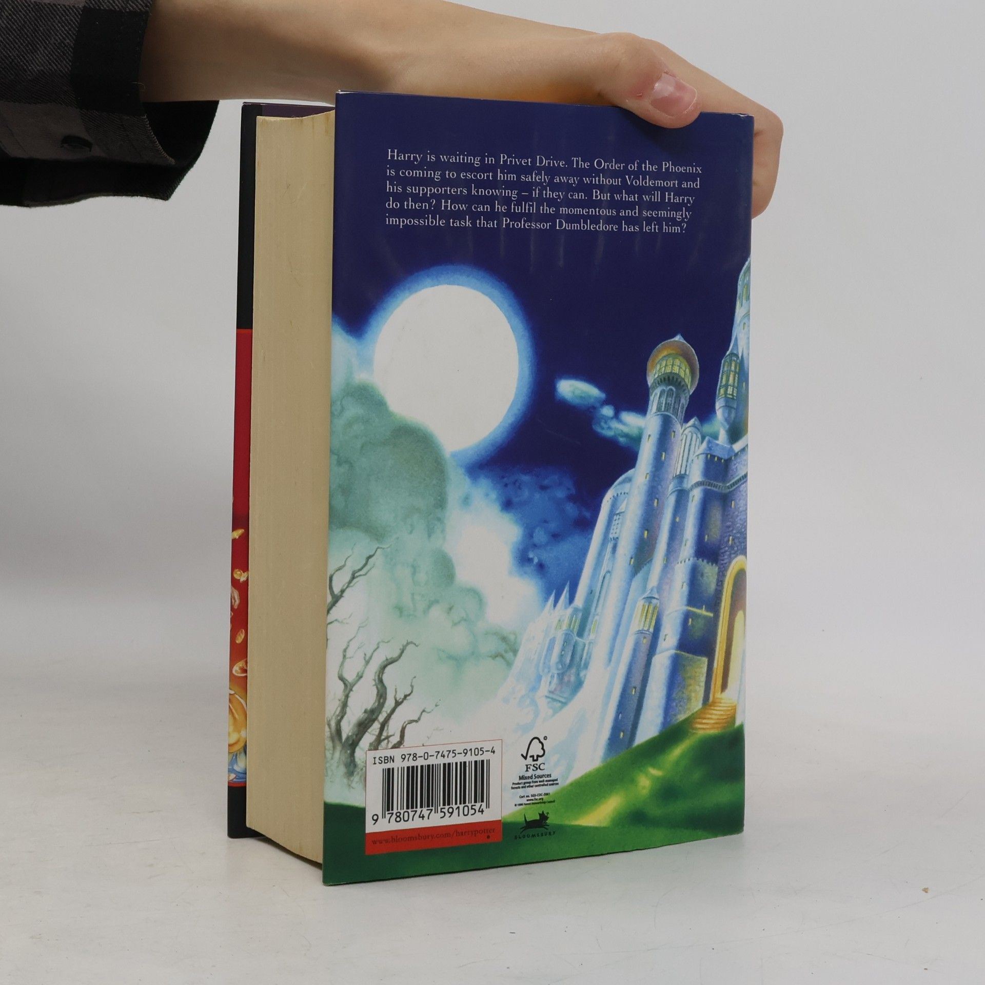 J. K. Rowling Harry Potter and the Deathly Hallows