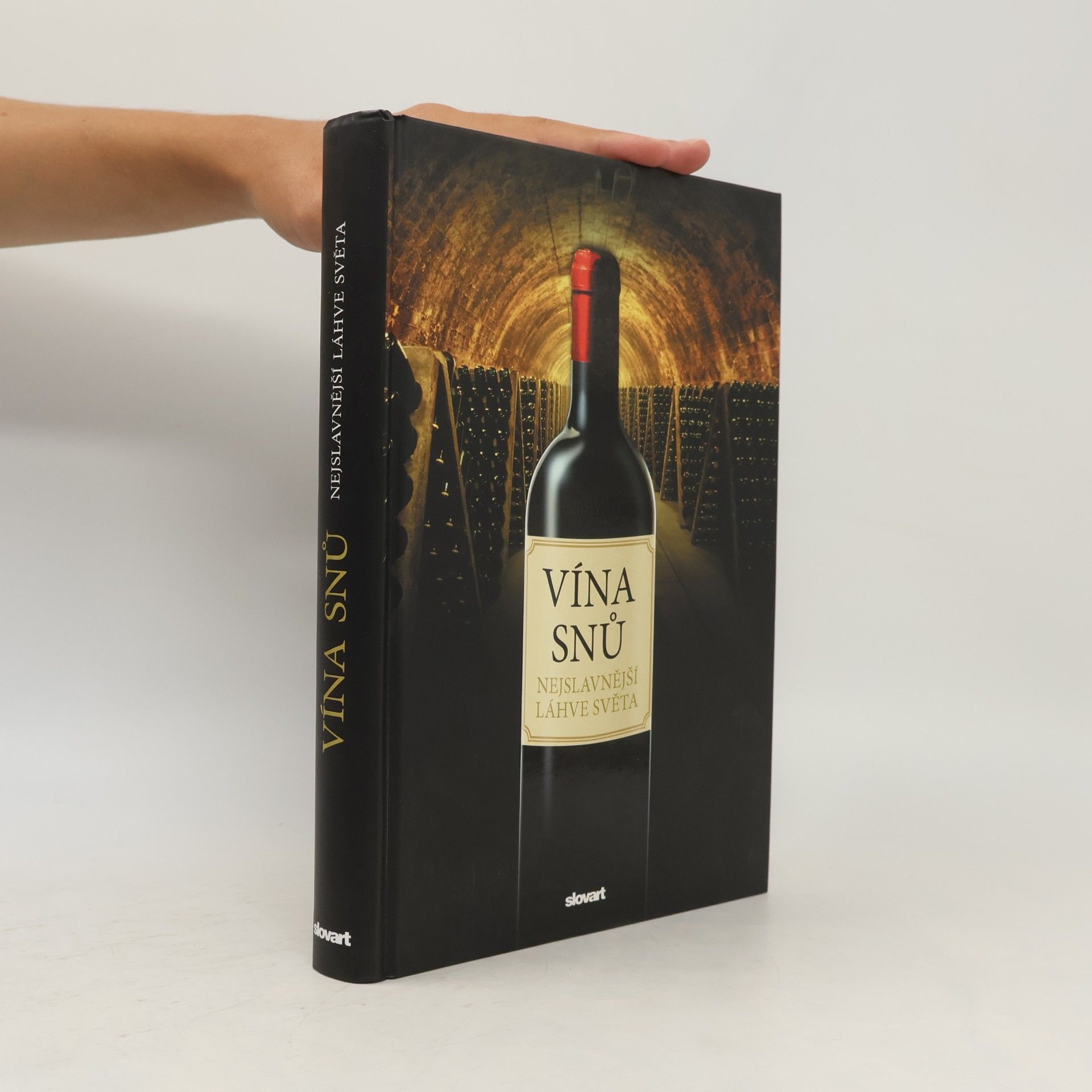Sylvie Girard-Lagorce Vína snů