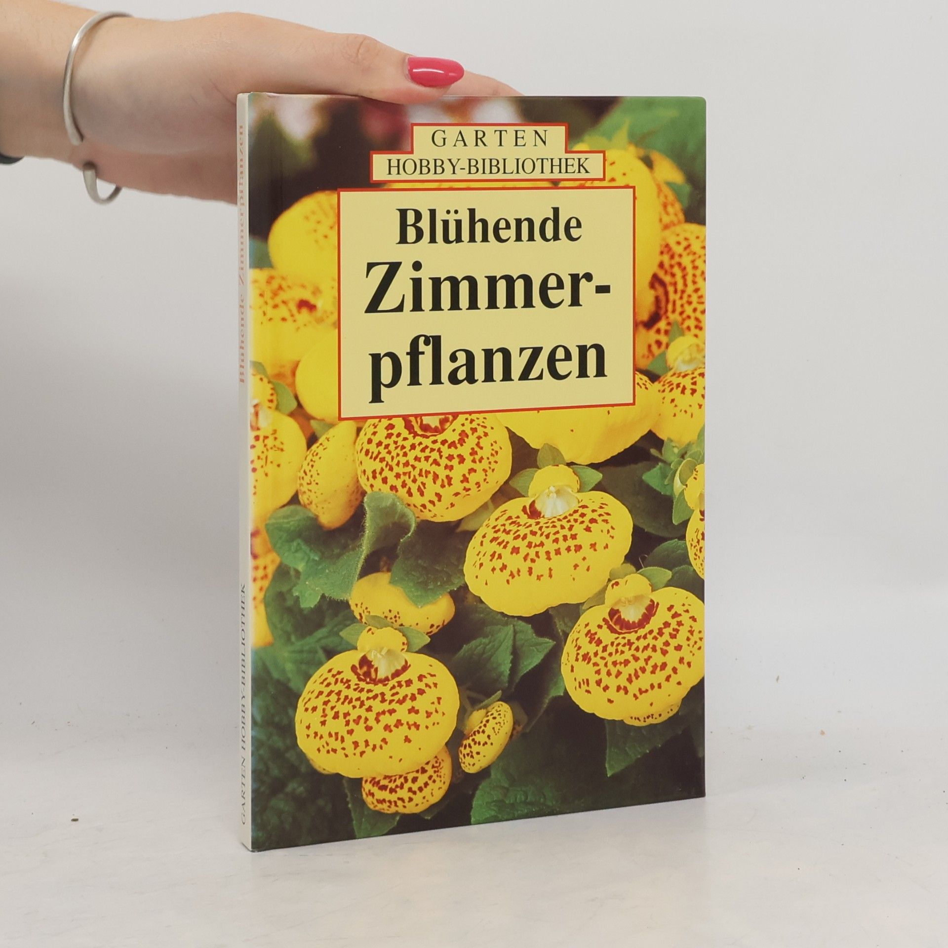 Ute York Blühende Zimmerpflanzen