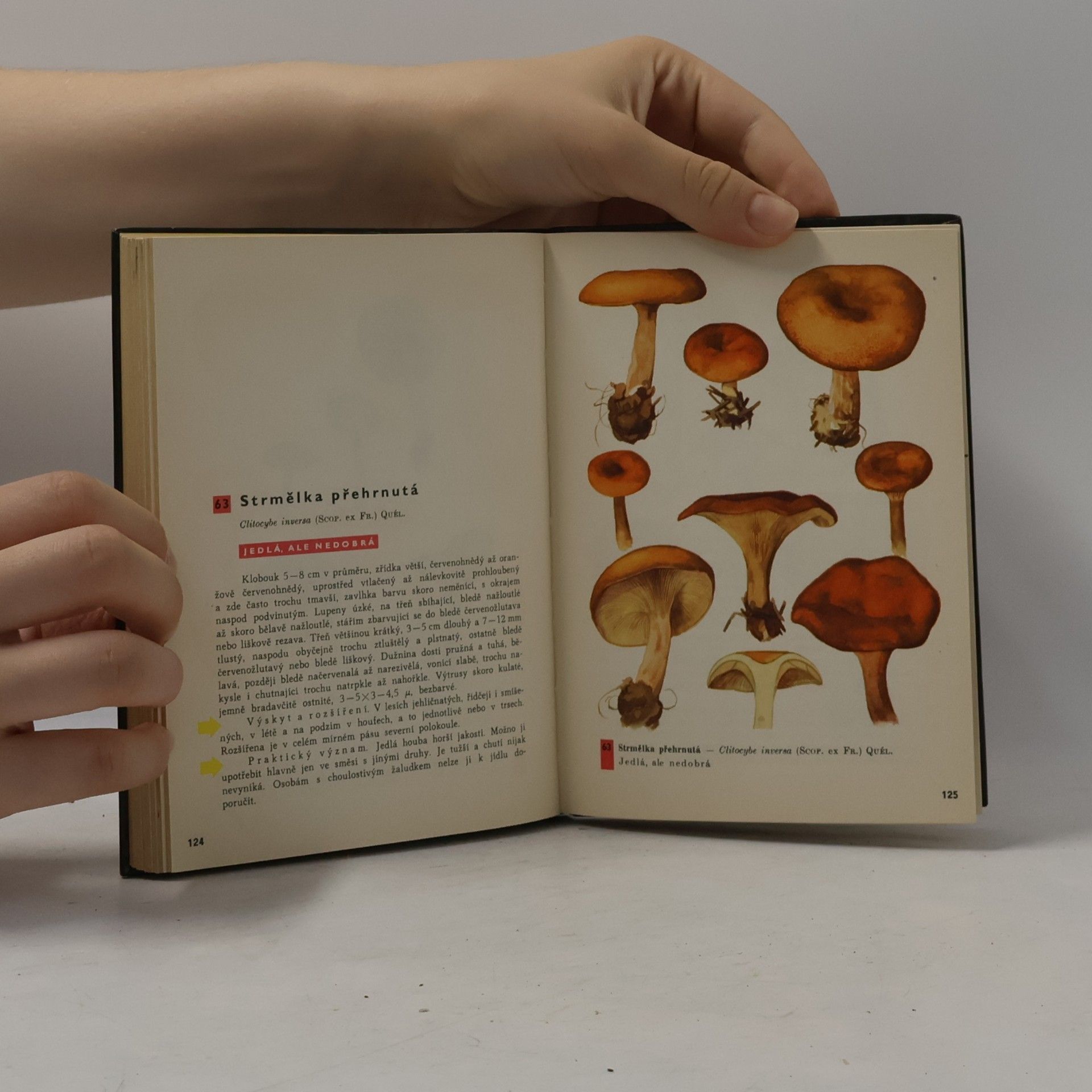 Otto Ušák Kapesní atlas hub